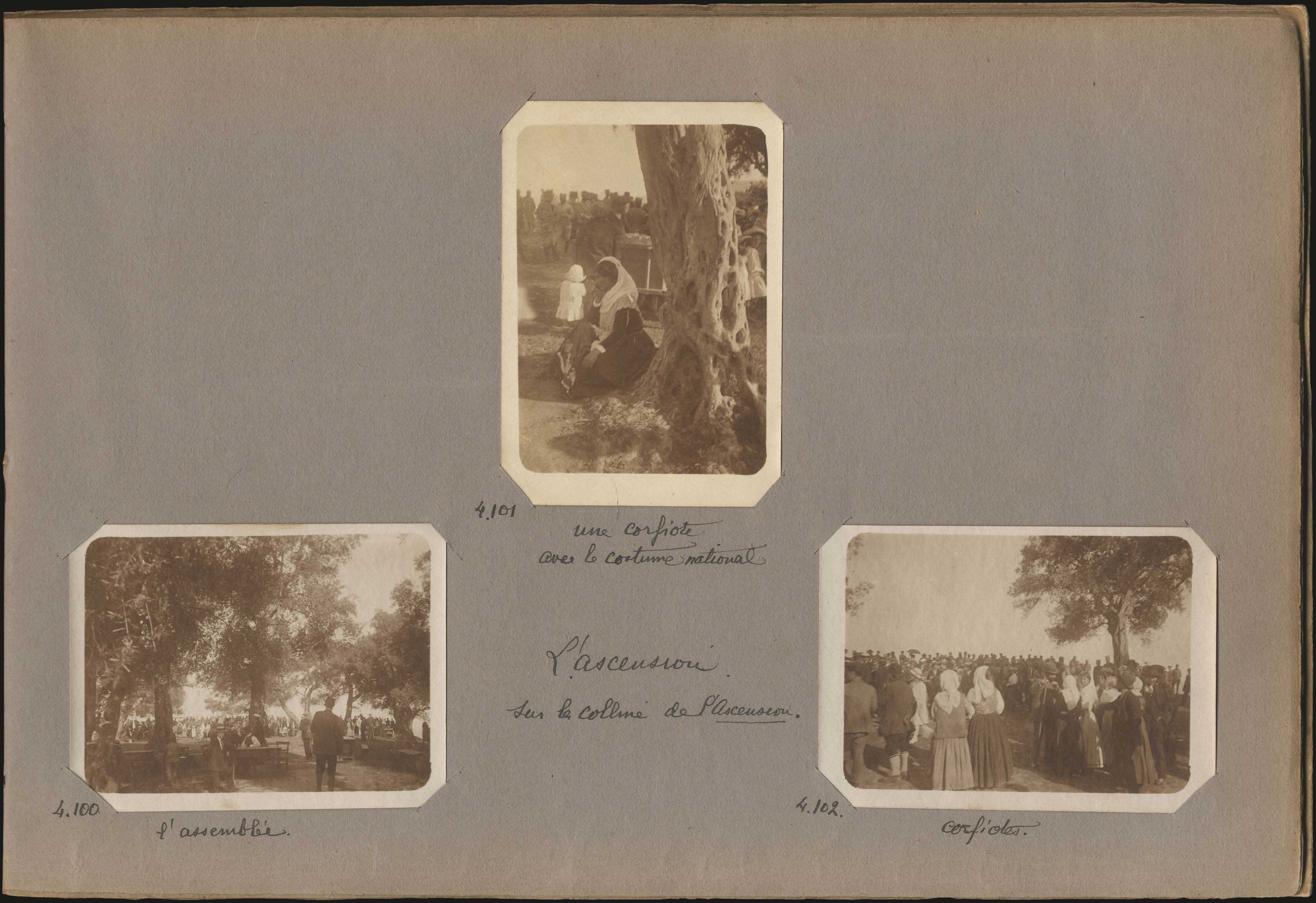 Lot 04342