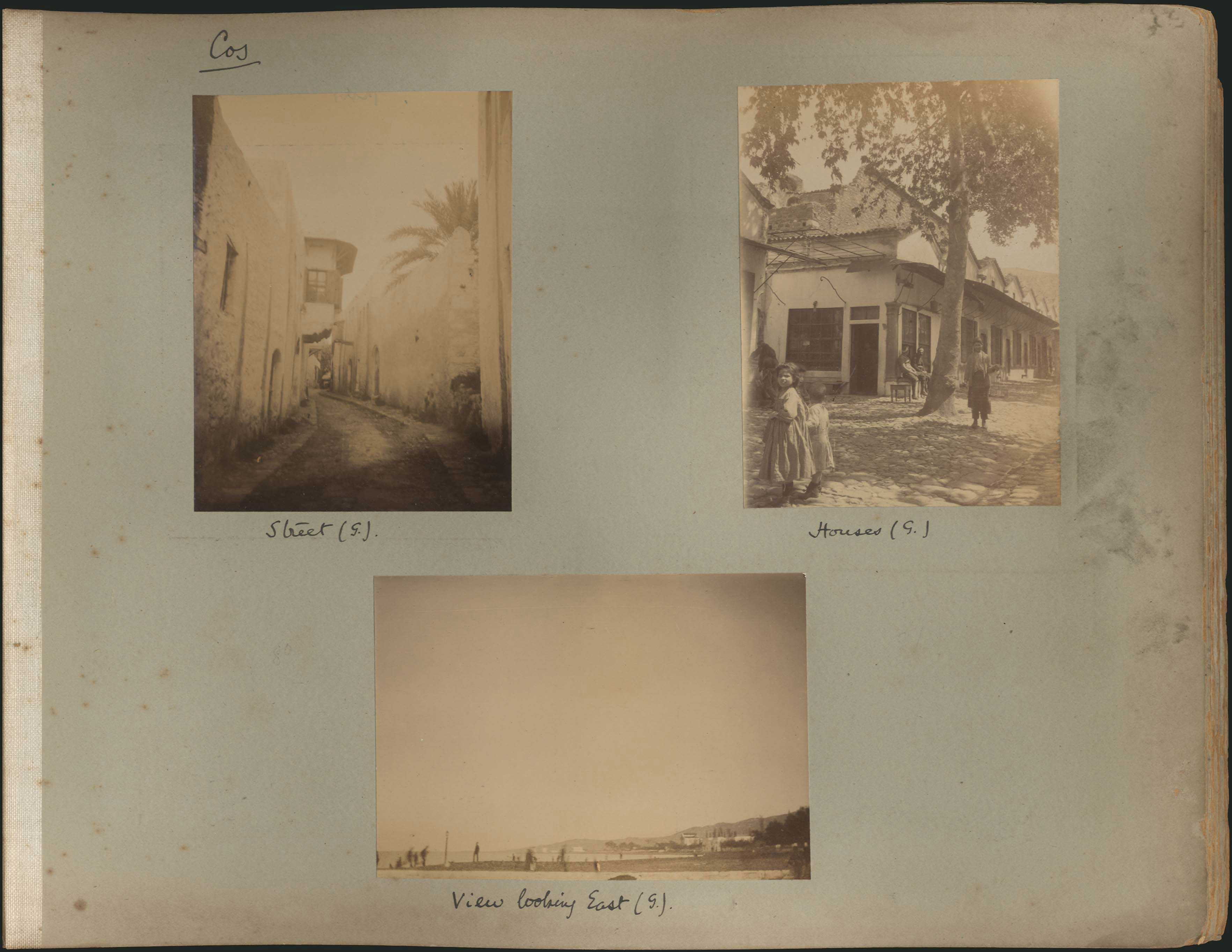 Lot 03003