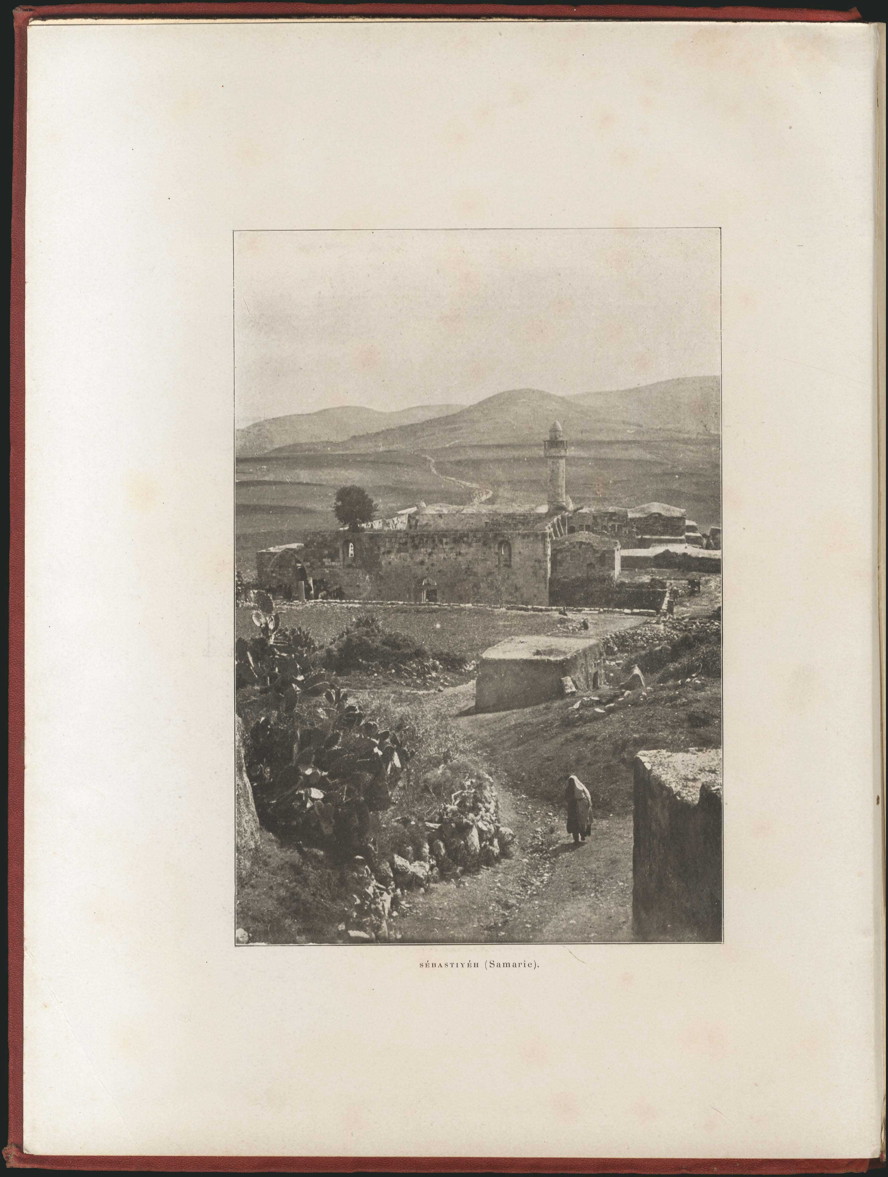 Lot 08113