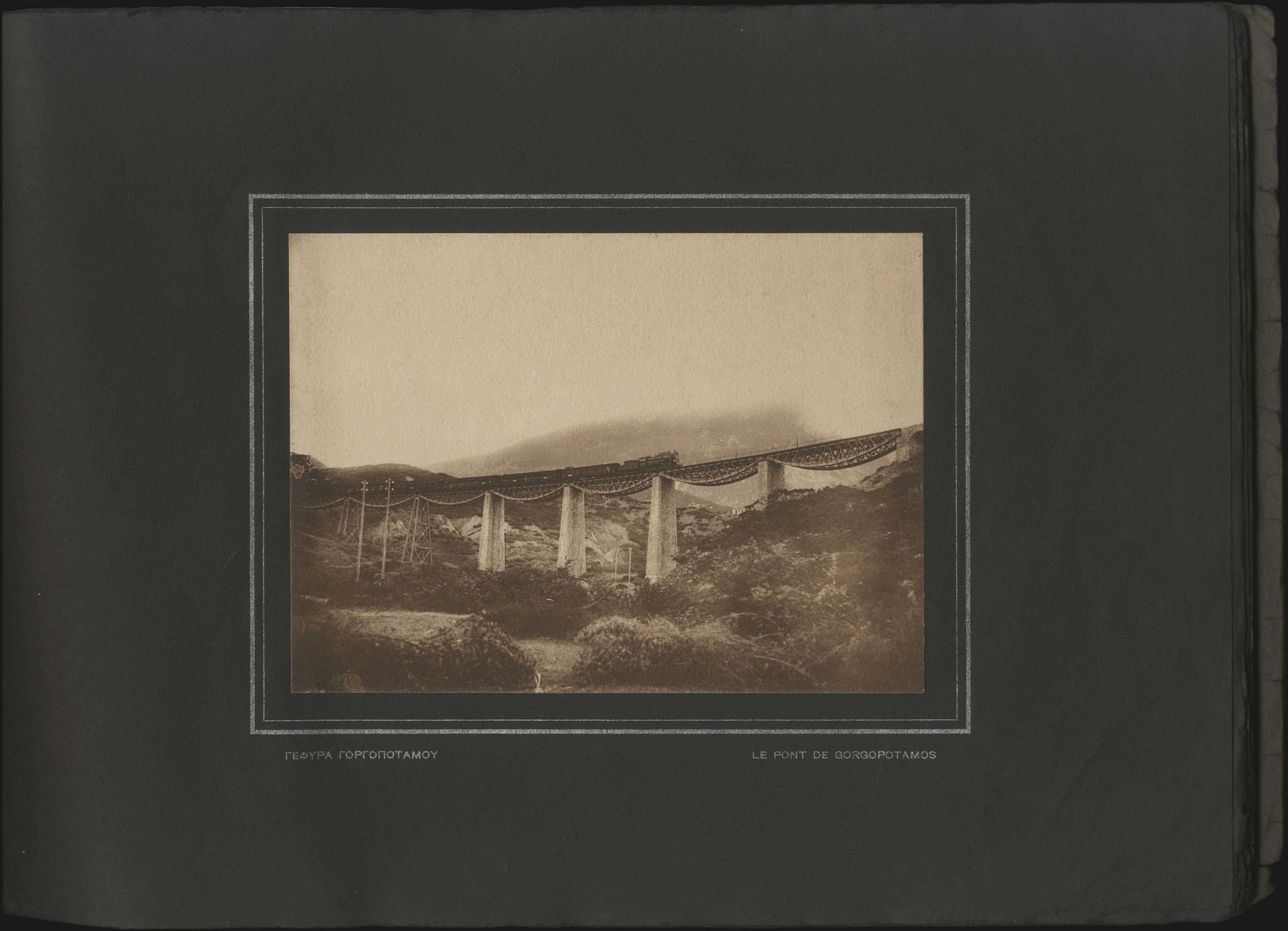 Lot 03646