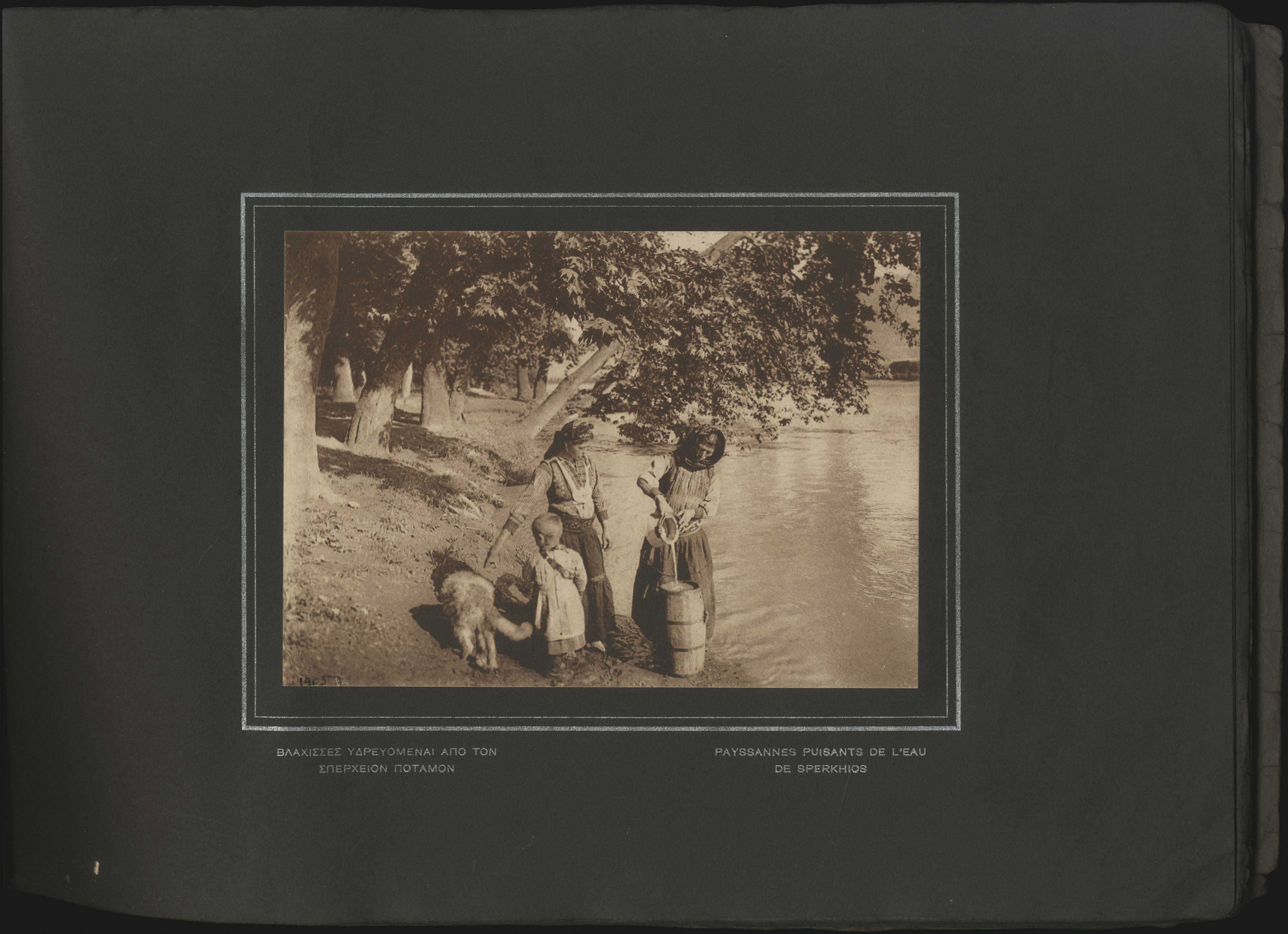 Lot 03646
