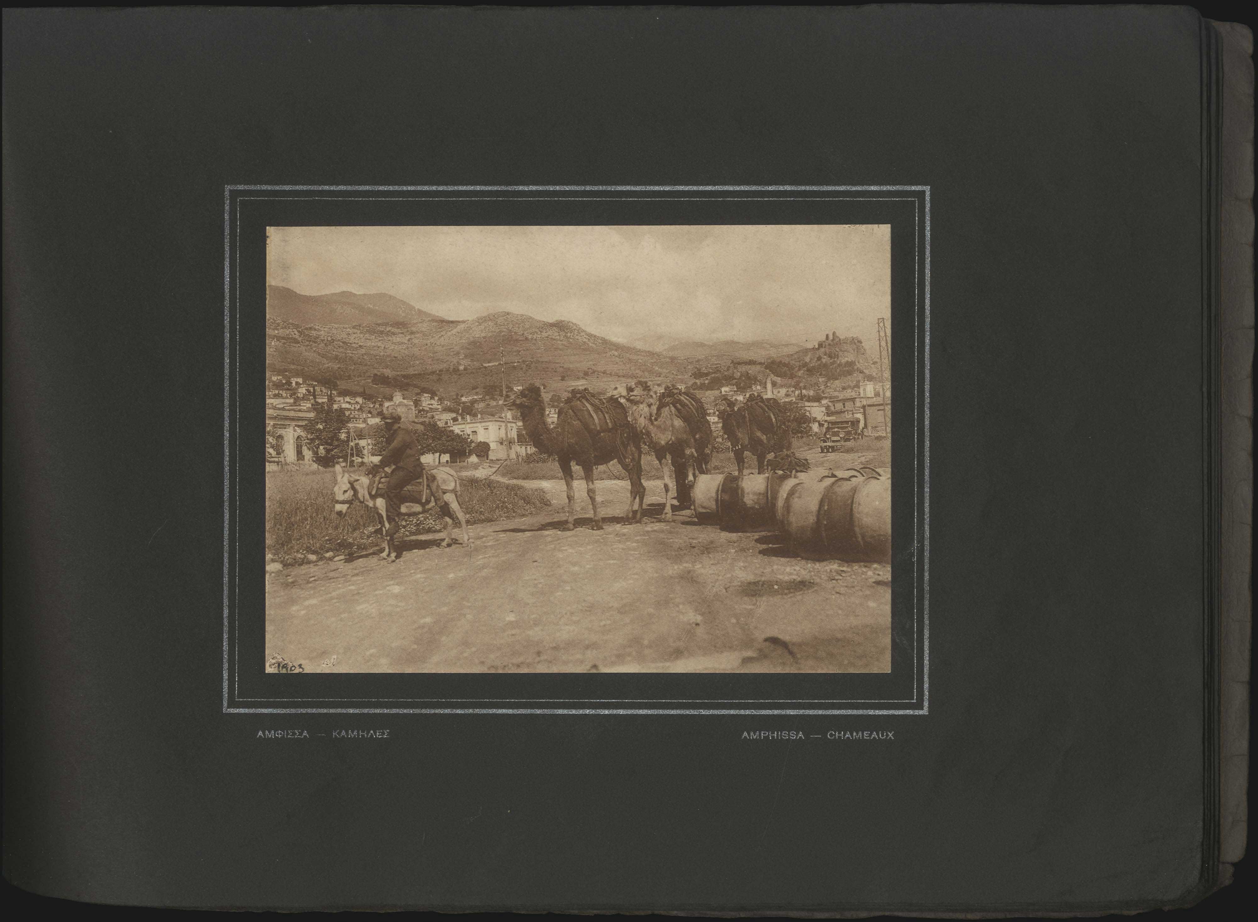 Lot 03646