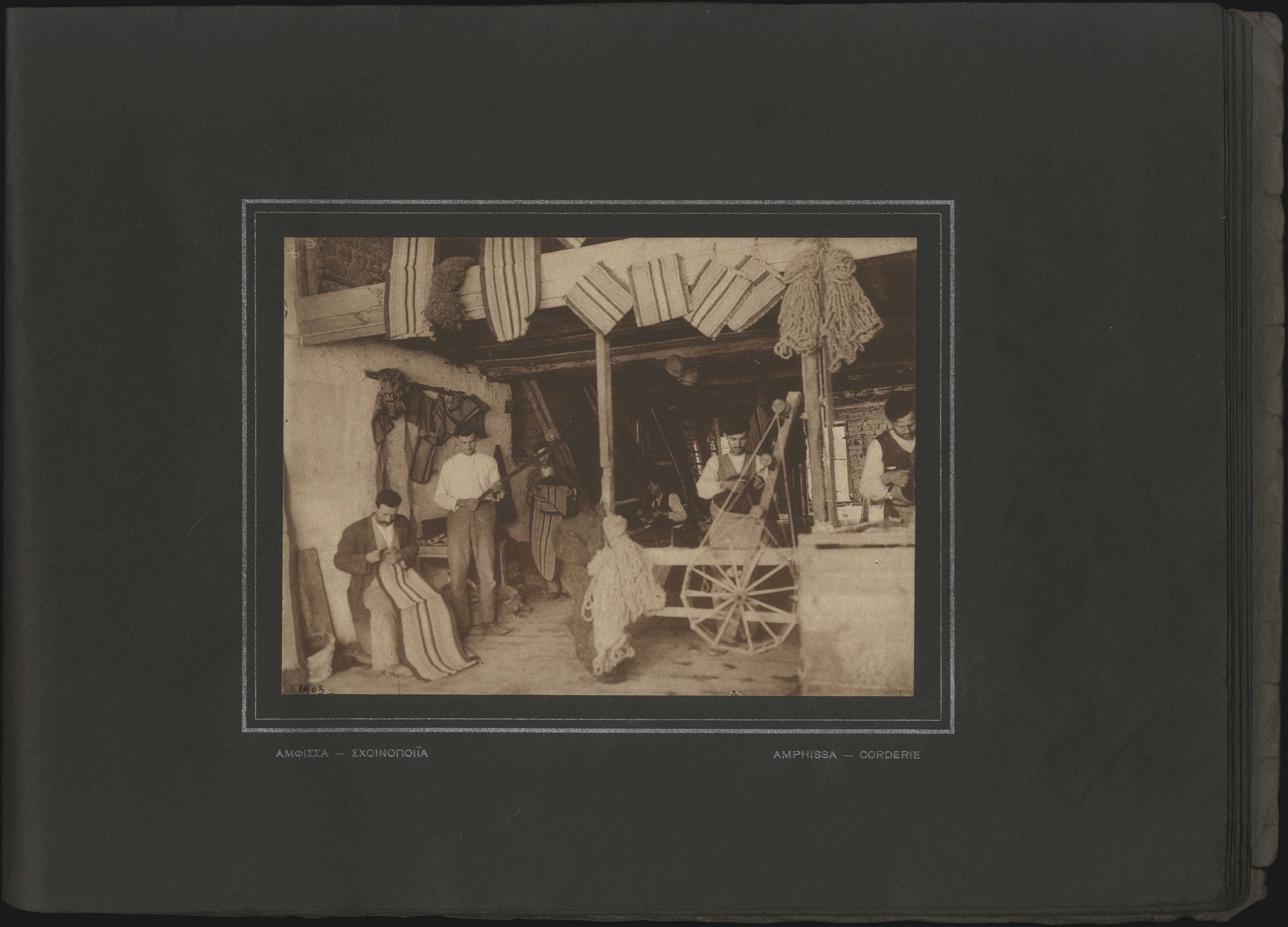 Lot 03646