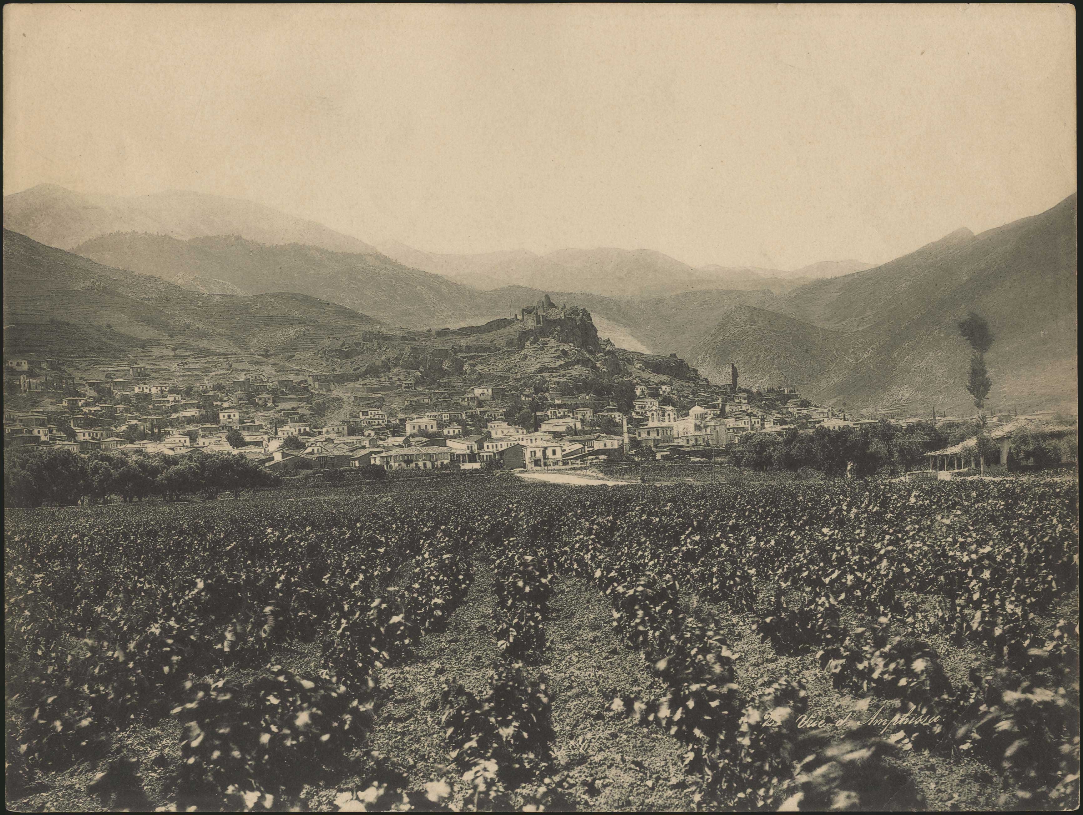 Lot 04369