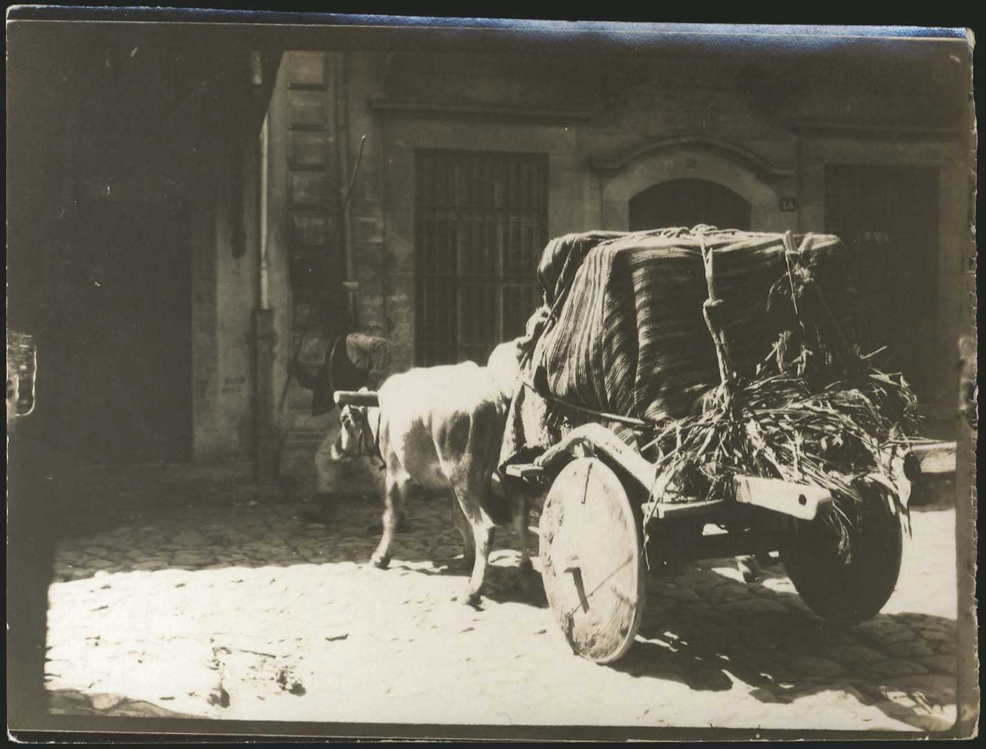 Lot 03204