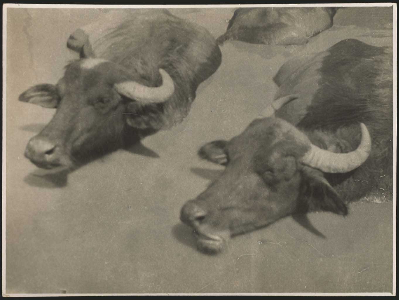 Lot 03204