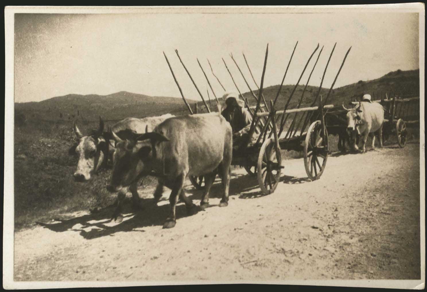 Lot 03204