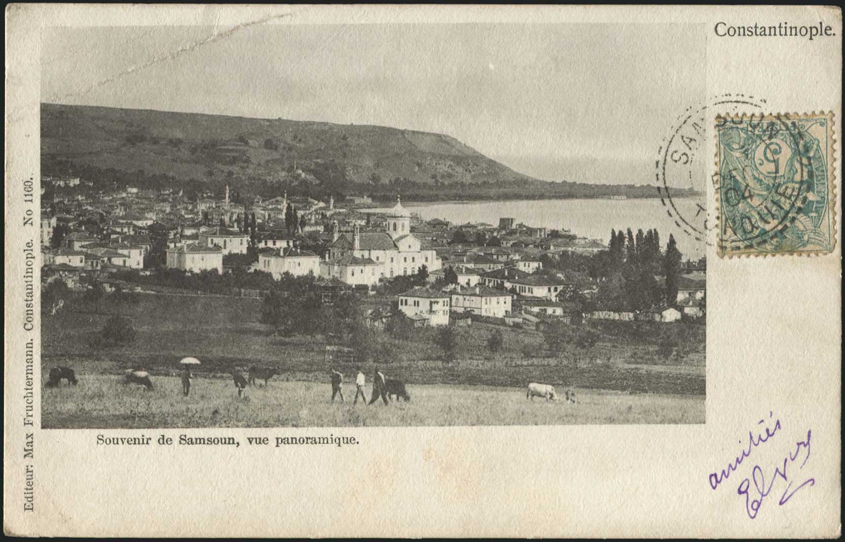 Lot 07313
