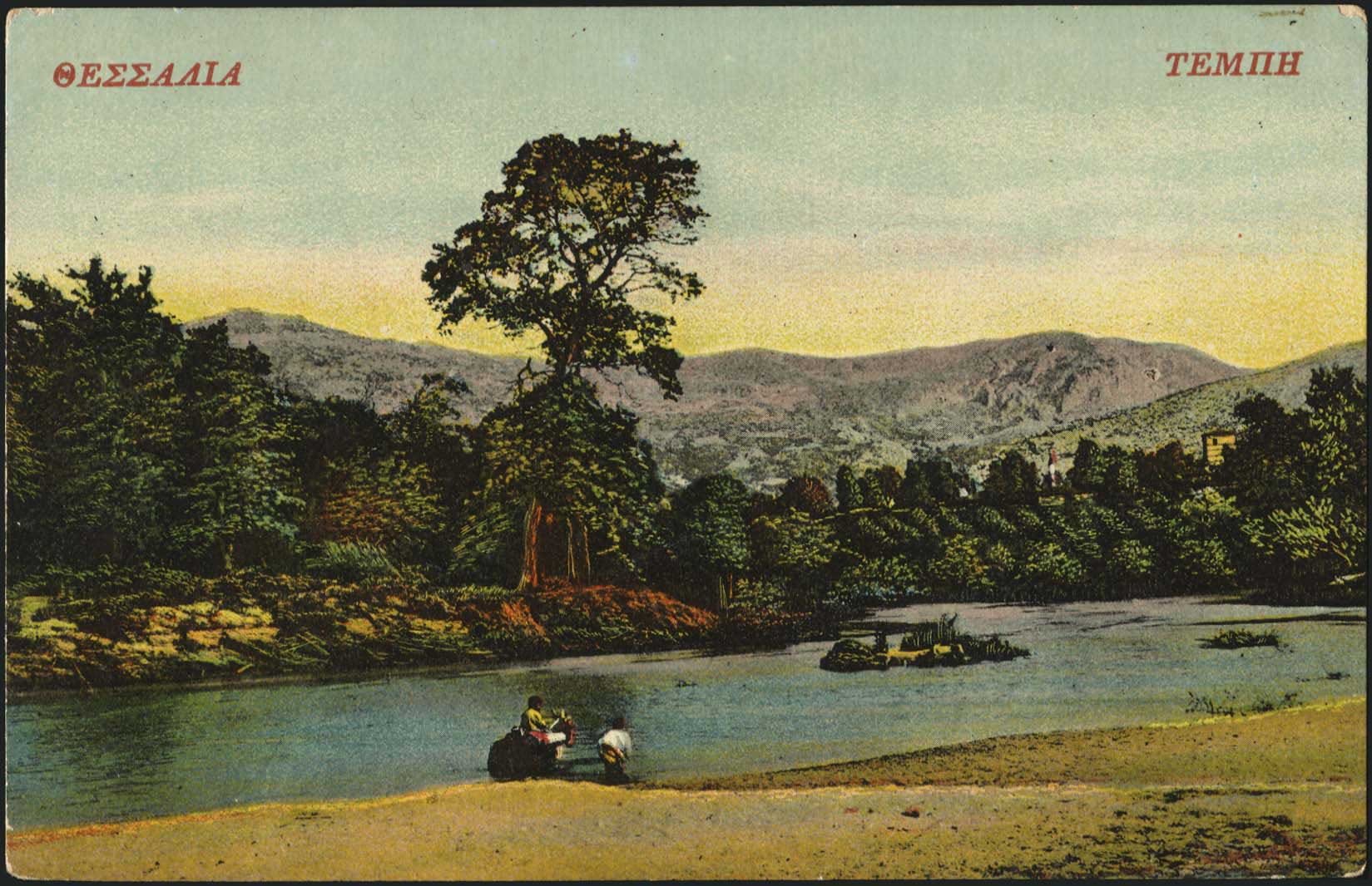 Lot 02233