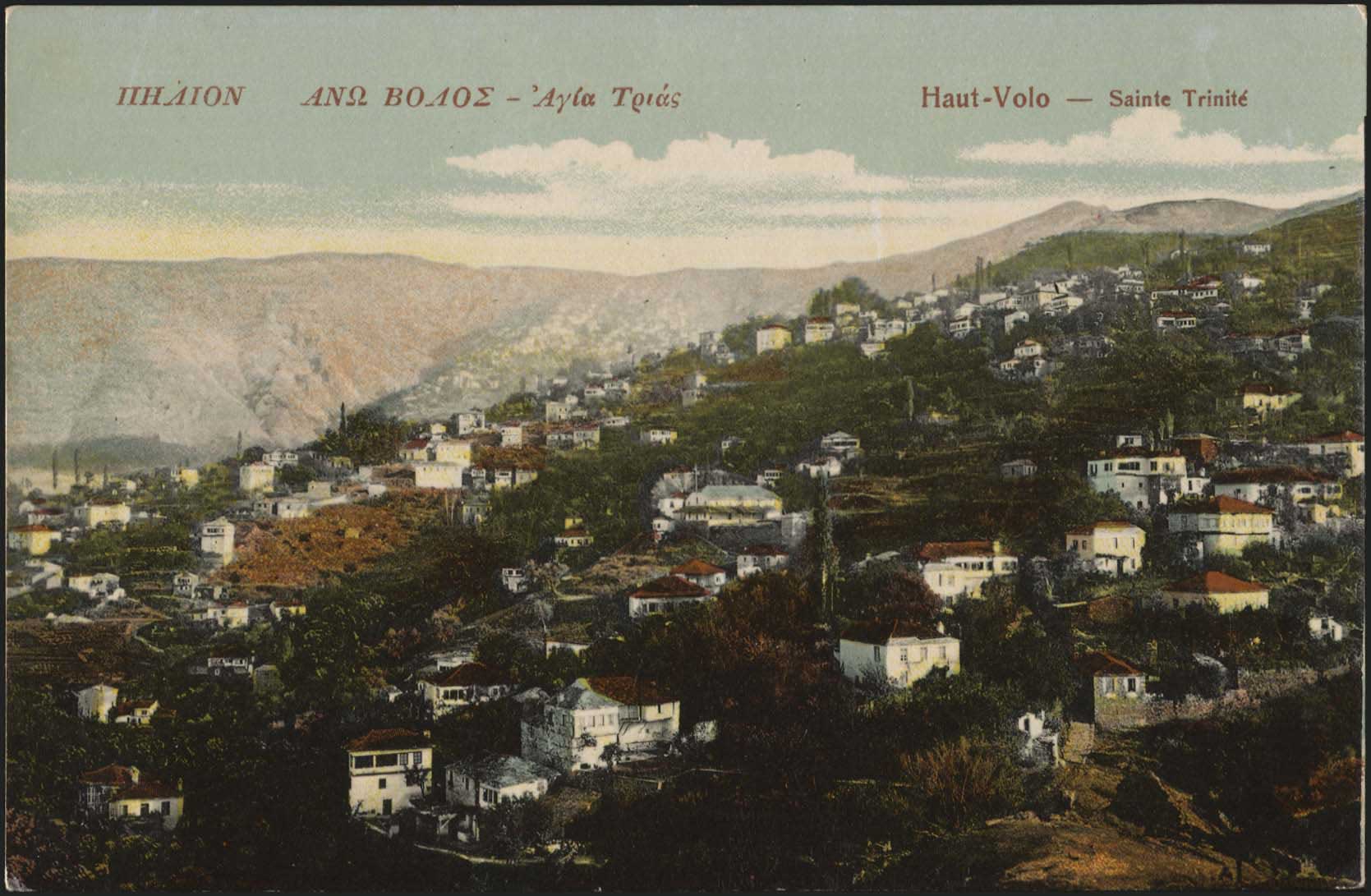 Lot 01555