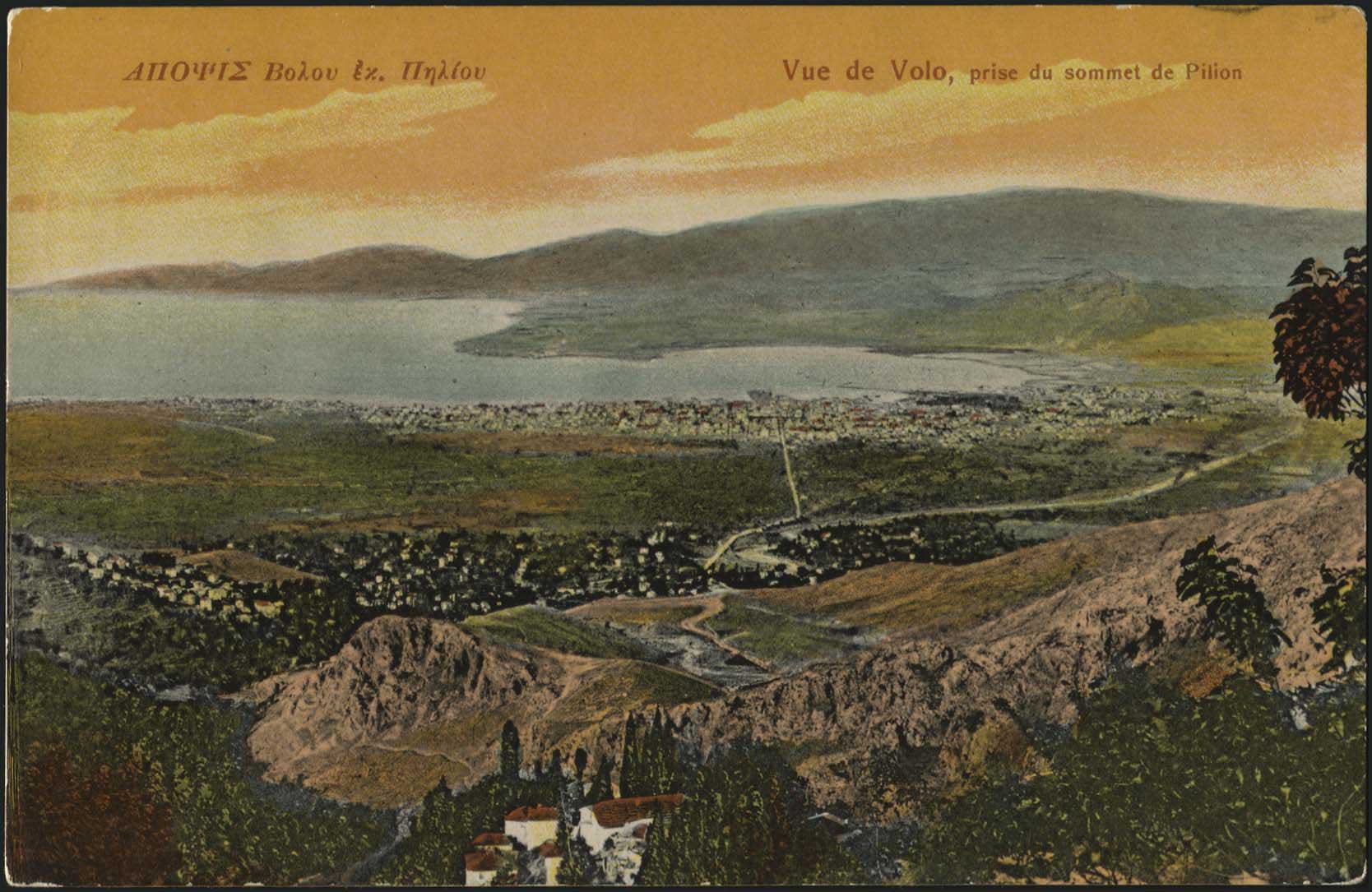 Lot 02335