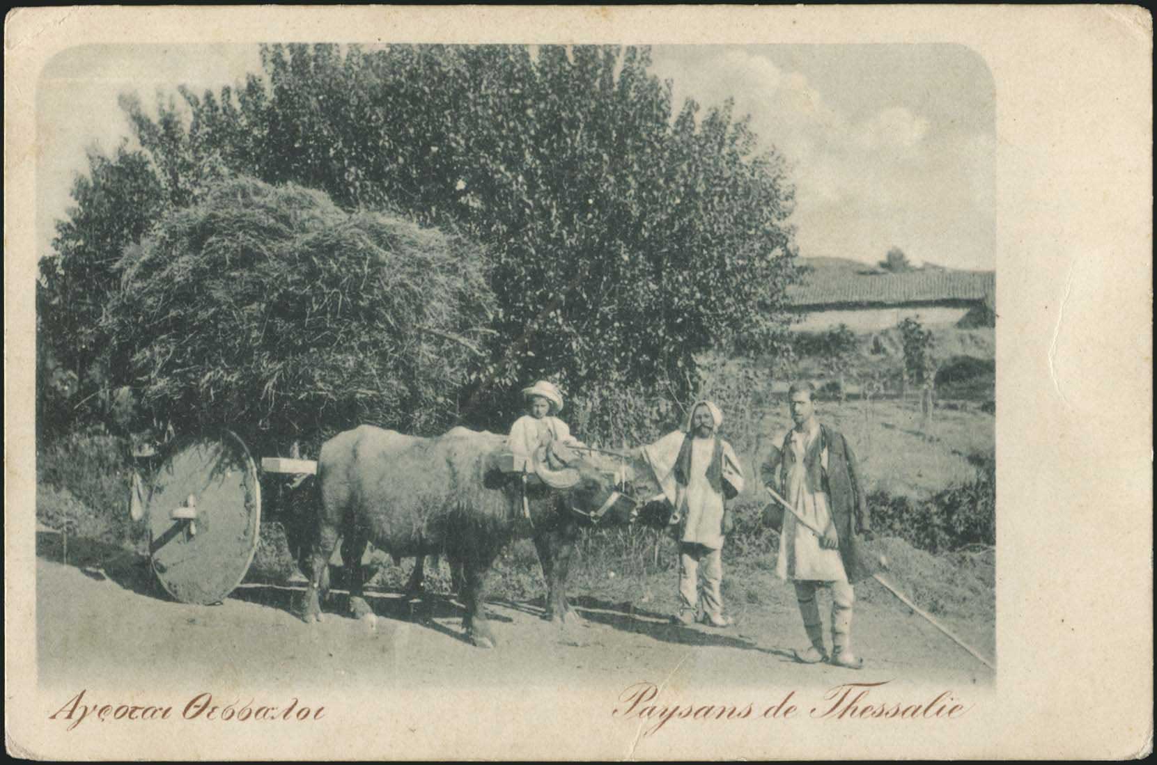 Lot 01724