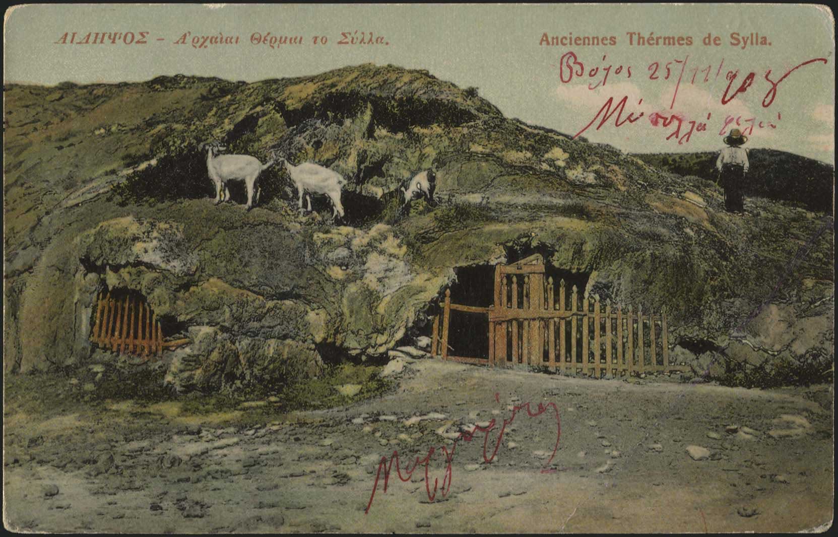 Lot 02172