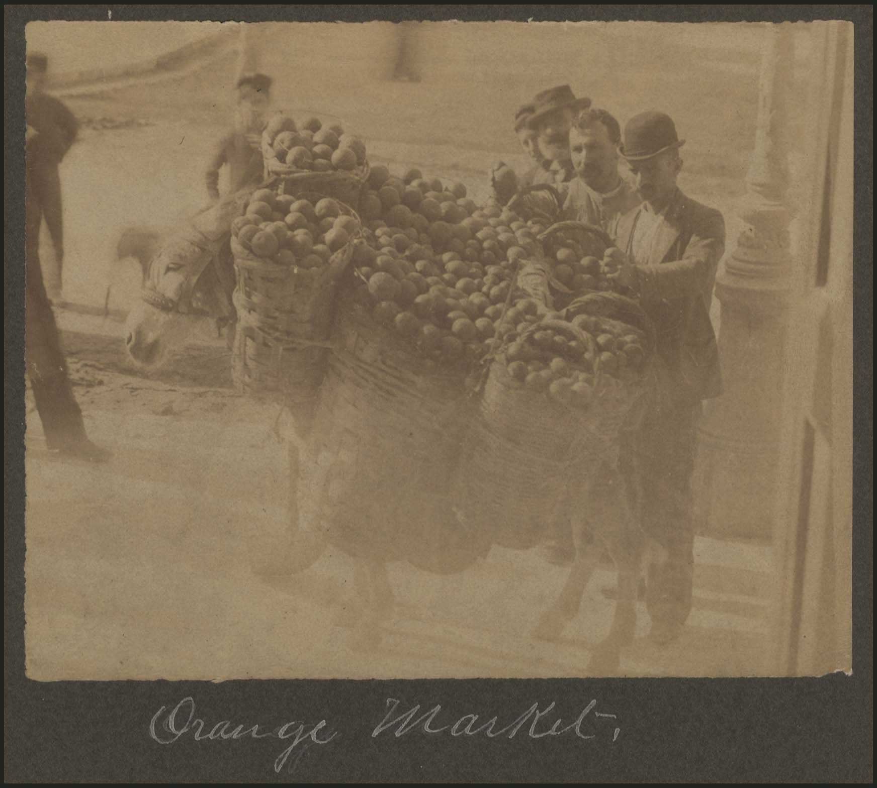 Lot 03199
