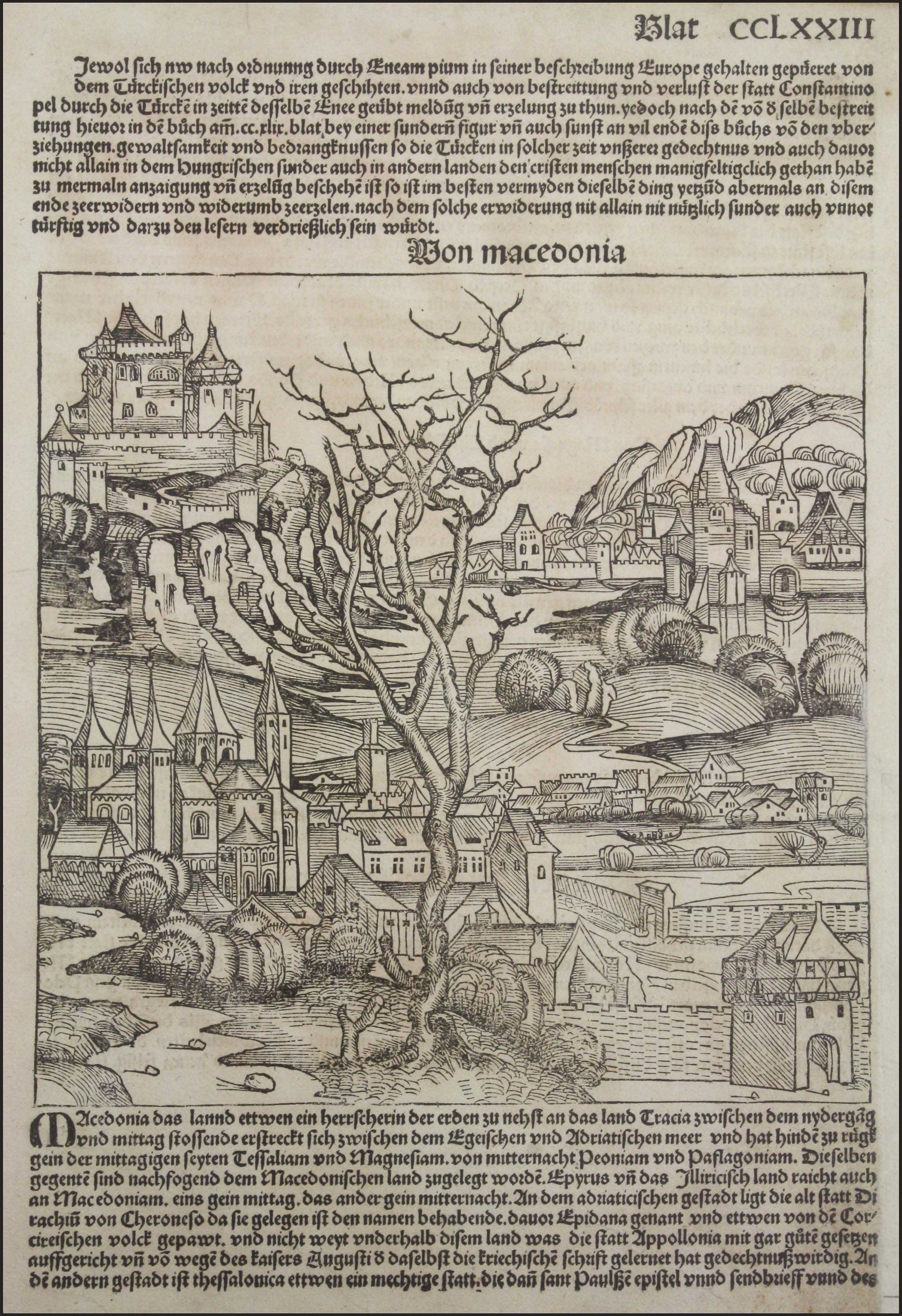 Lot 03036