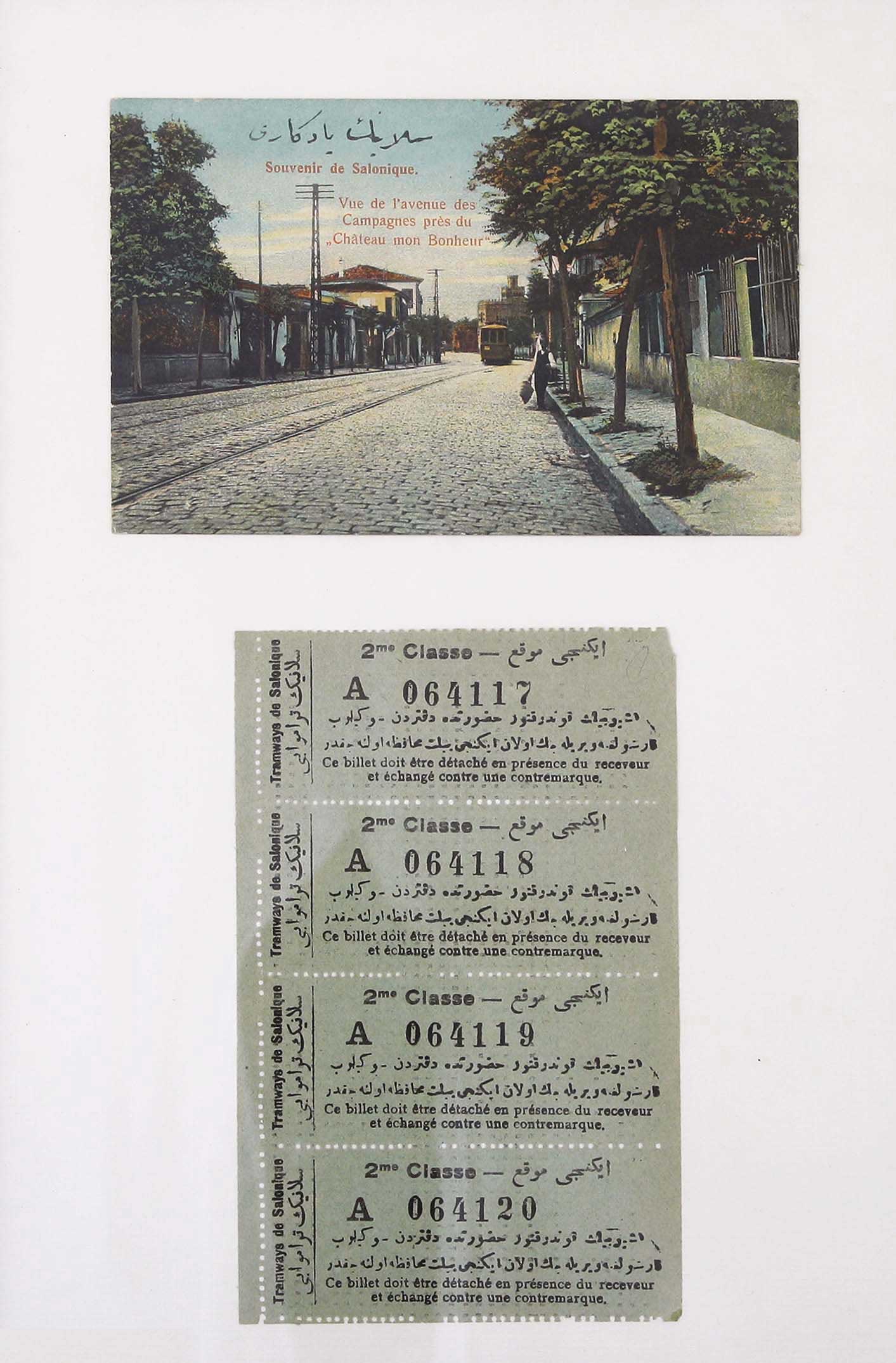 Lot 03083