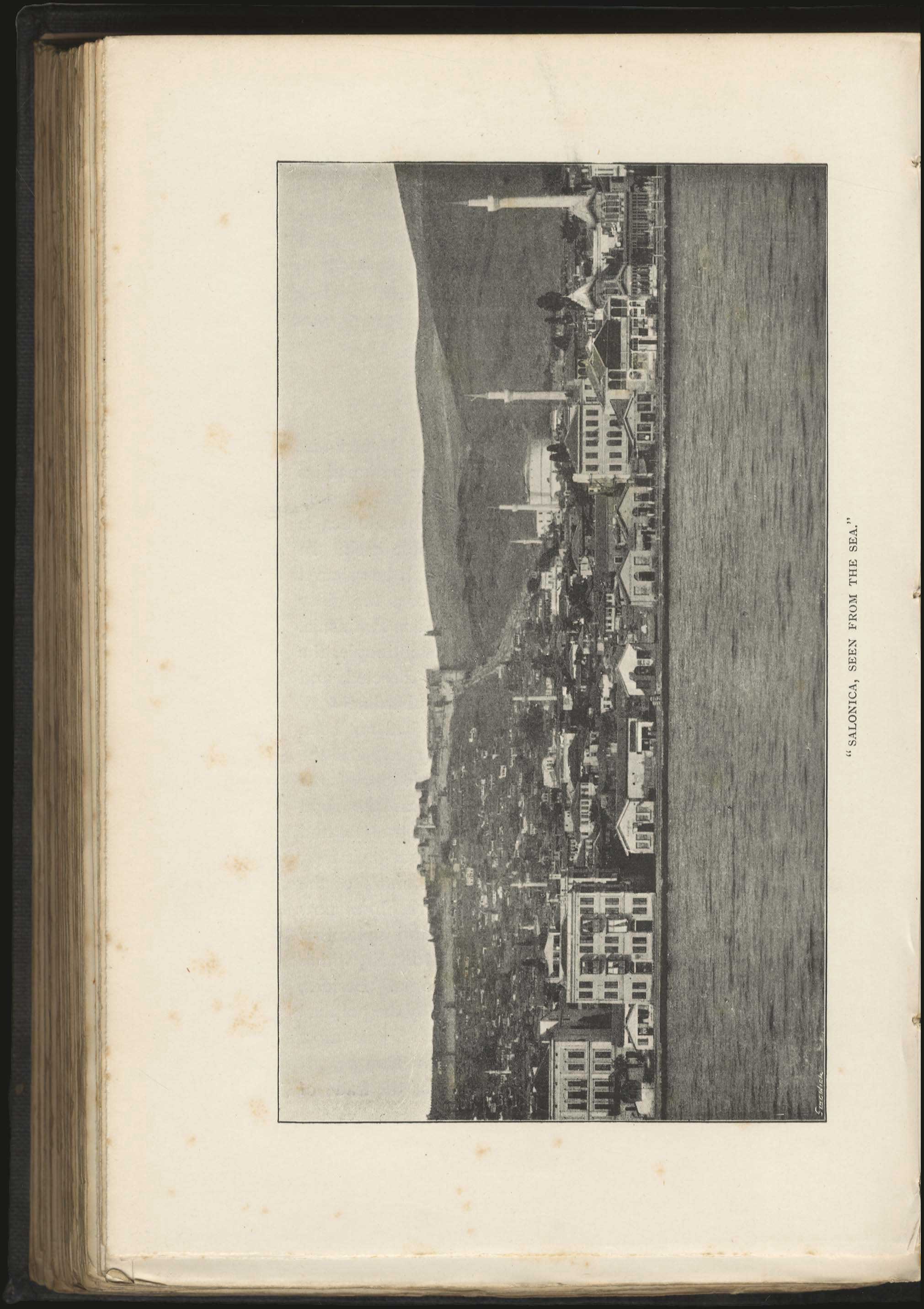 Lot 03137