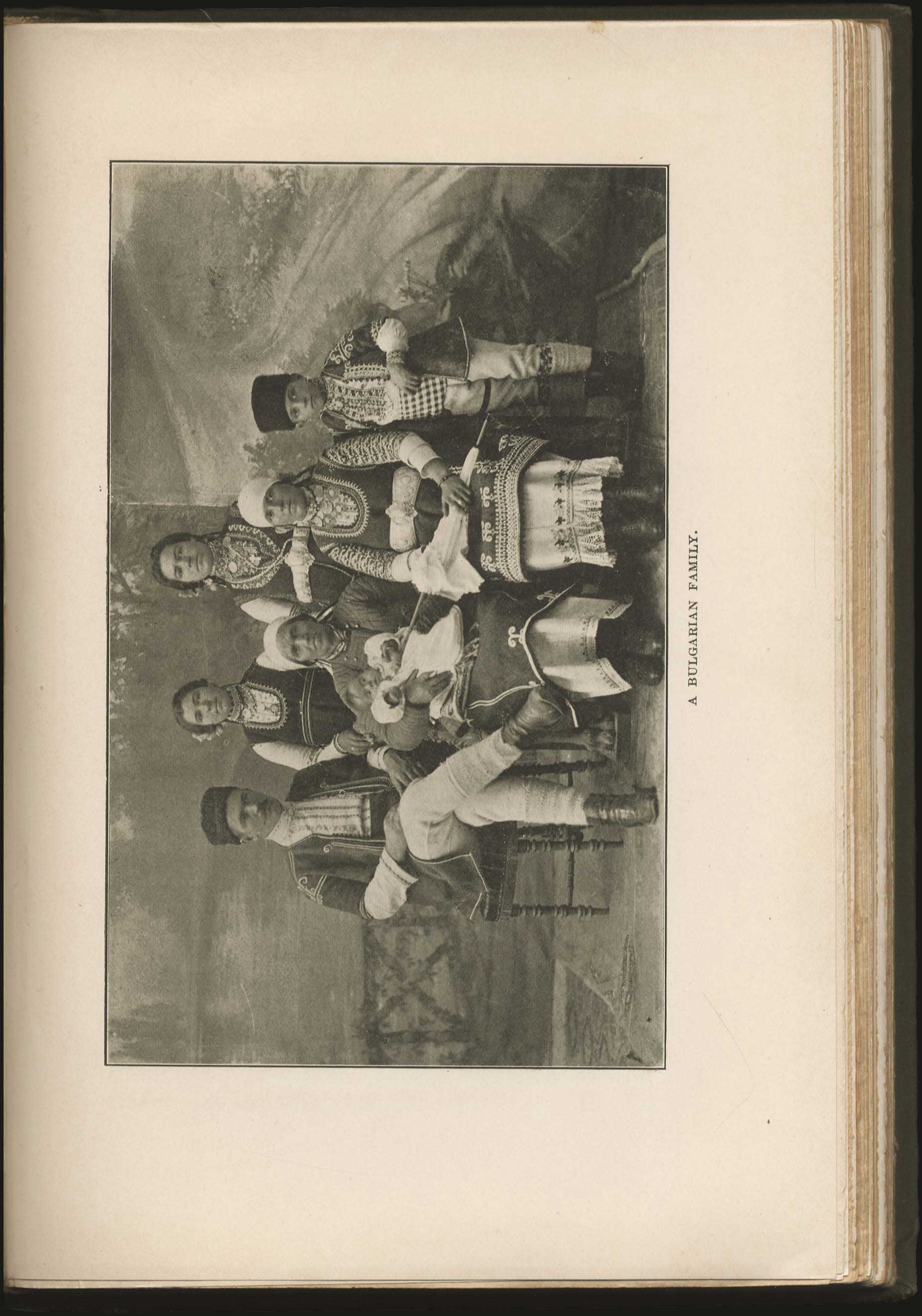 Lot 03141