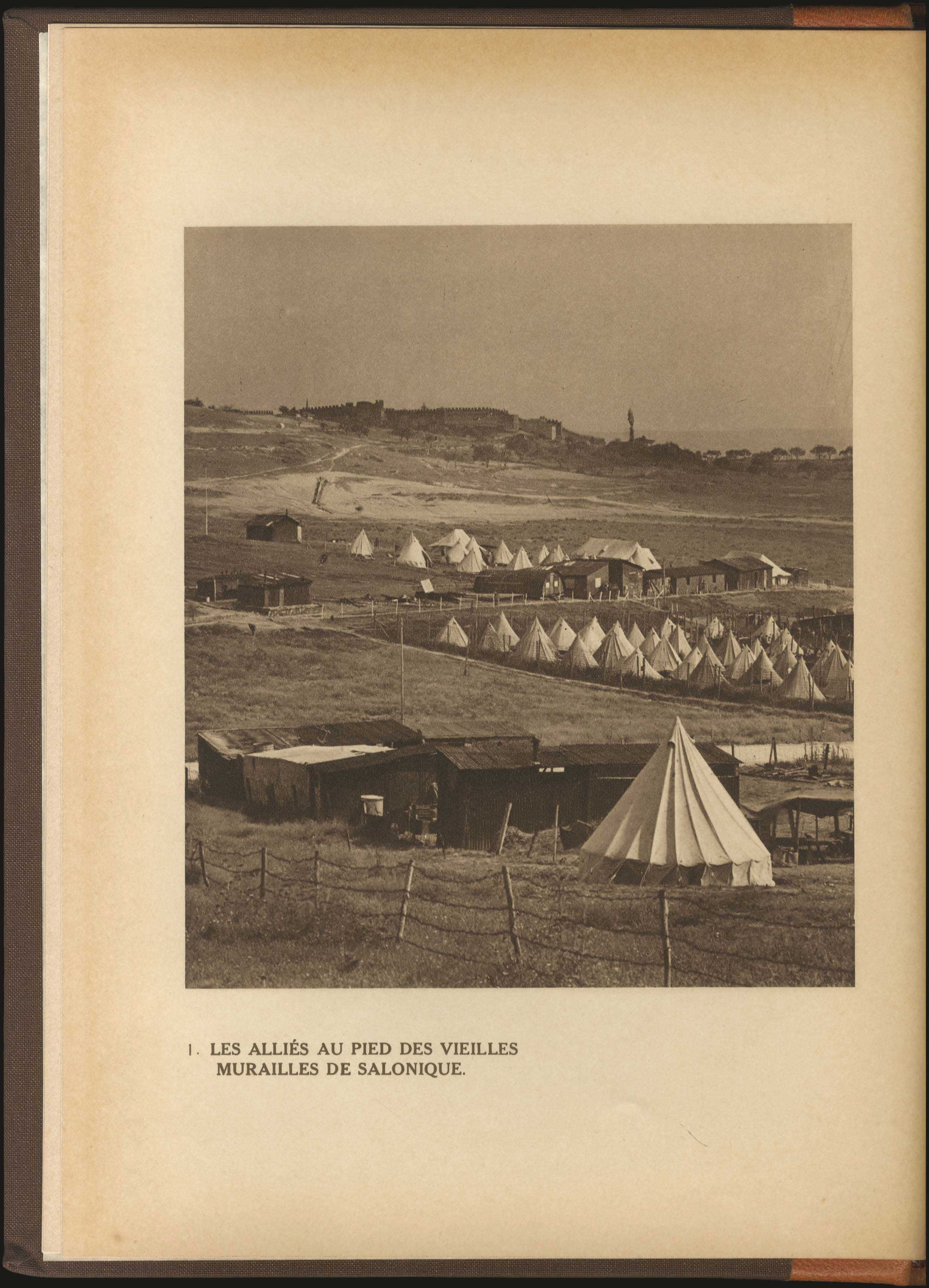 Lot 03153