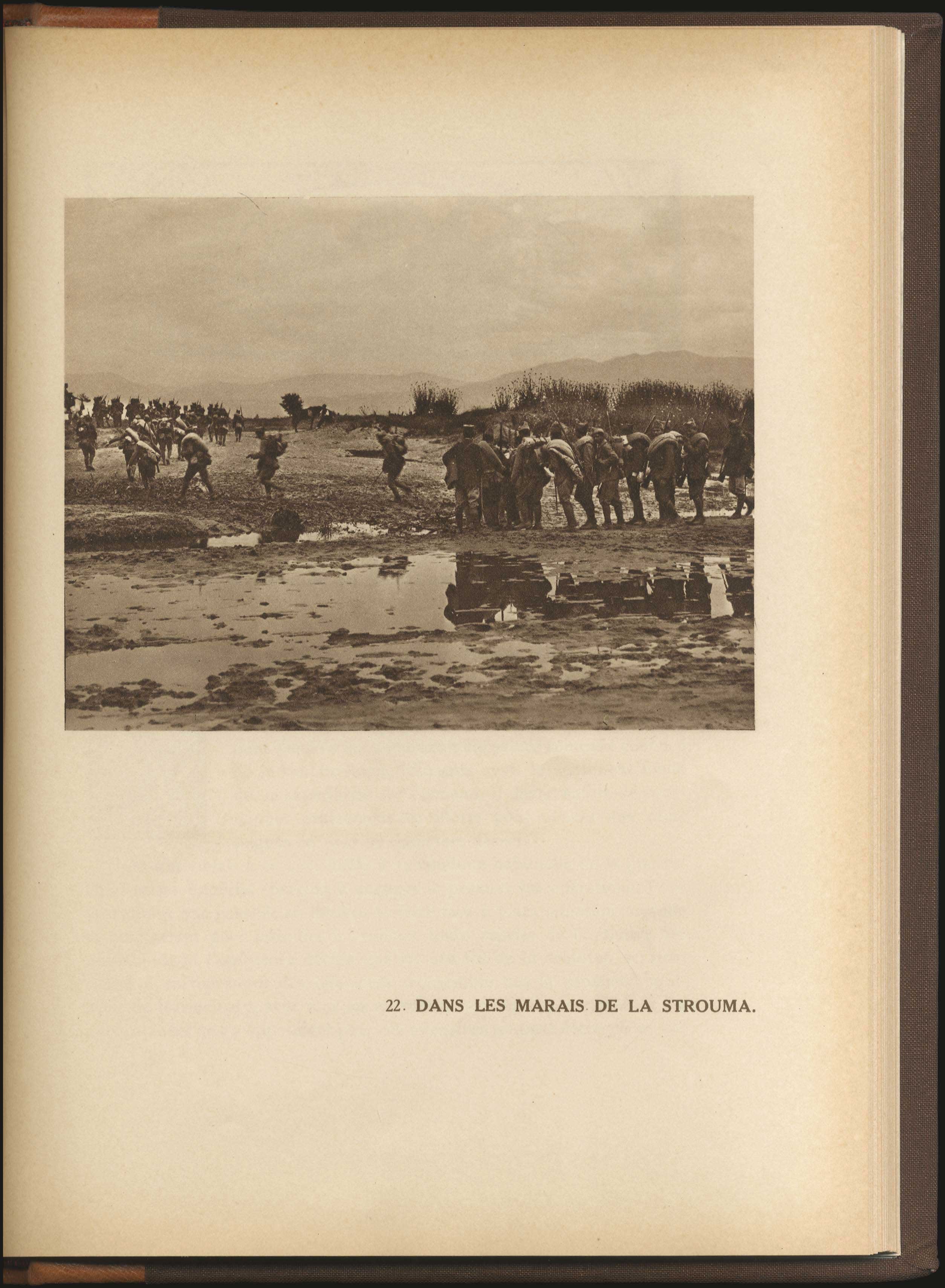 Lot 03153