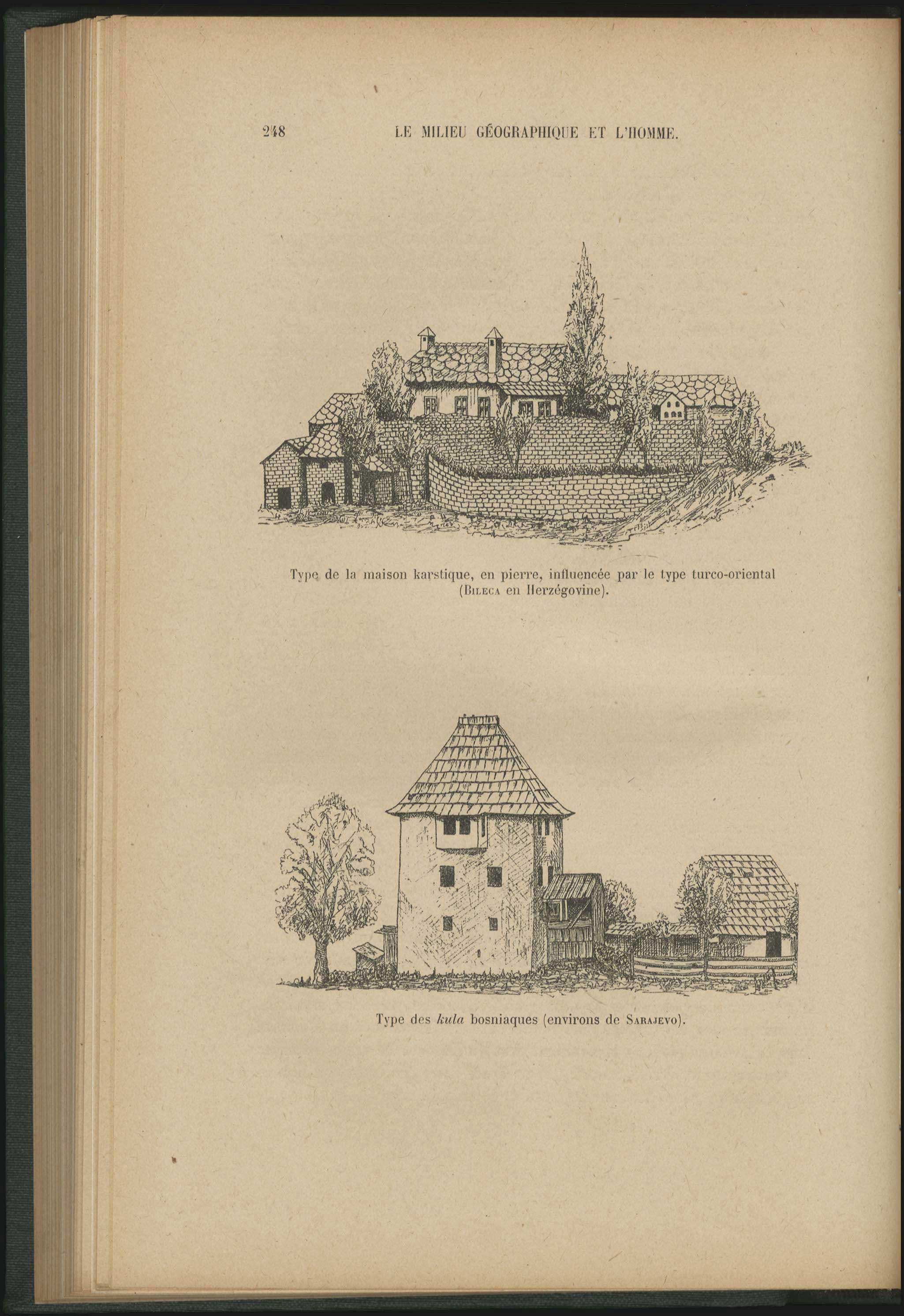 Lot 03142