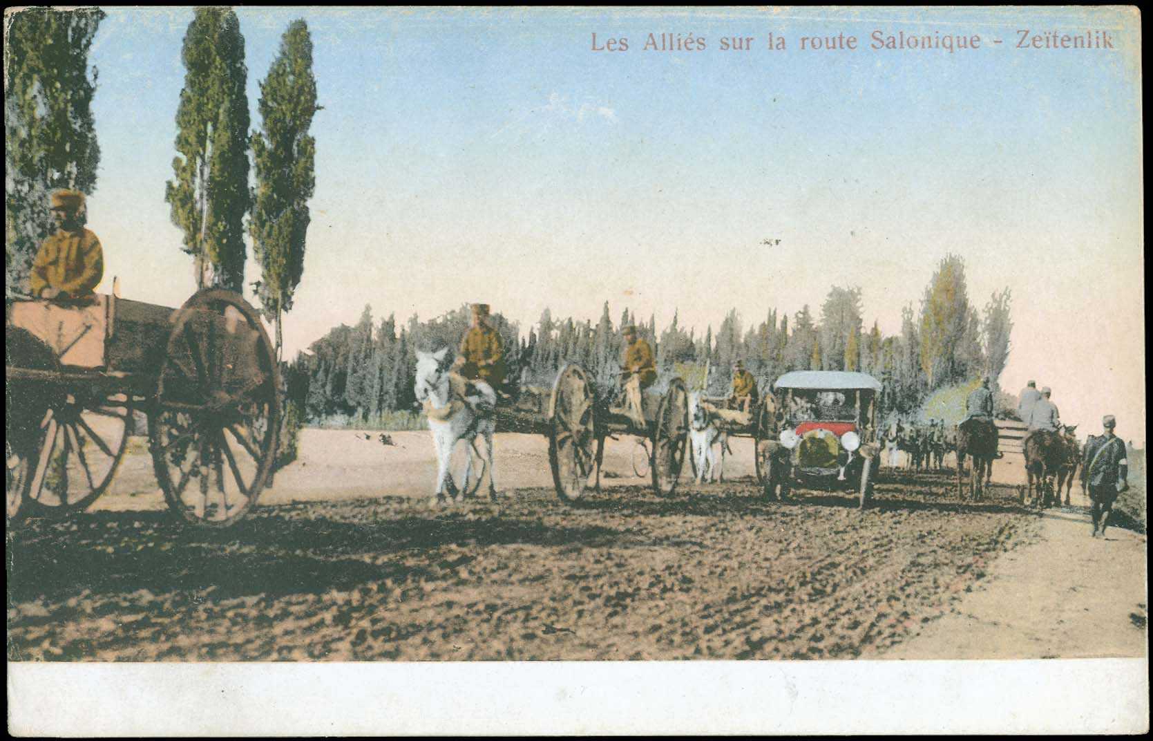 Lot 01619