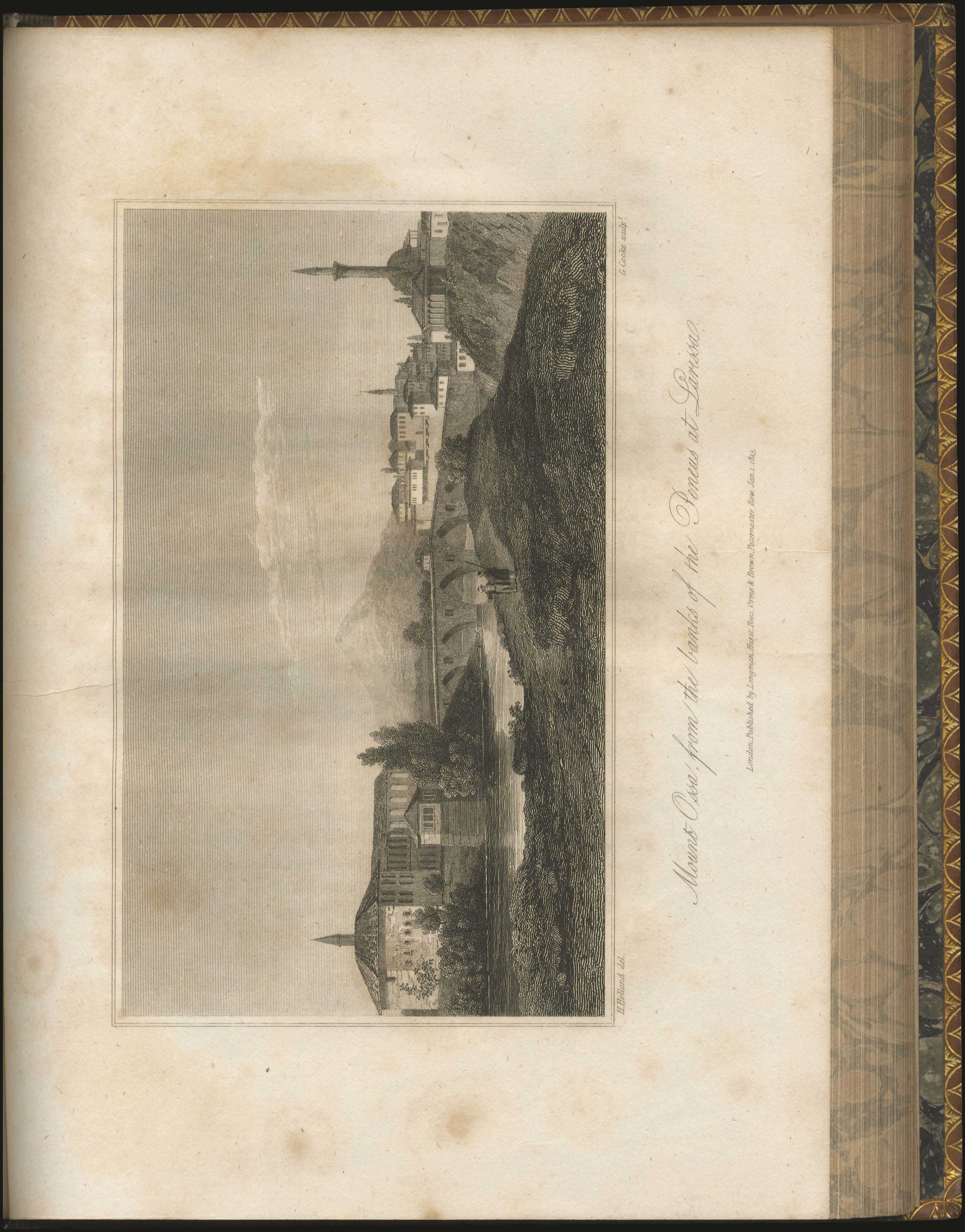 Lot 03125