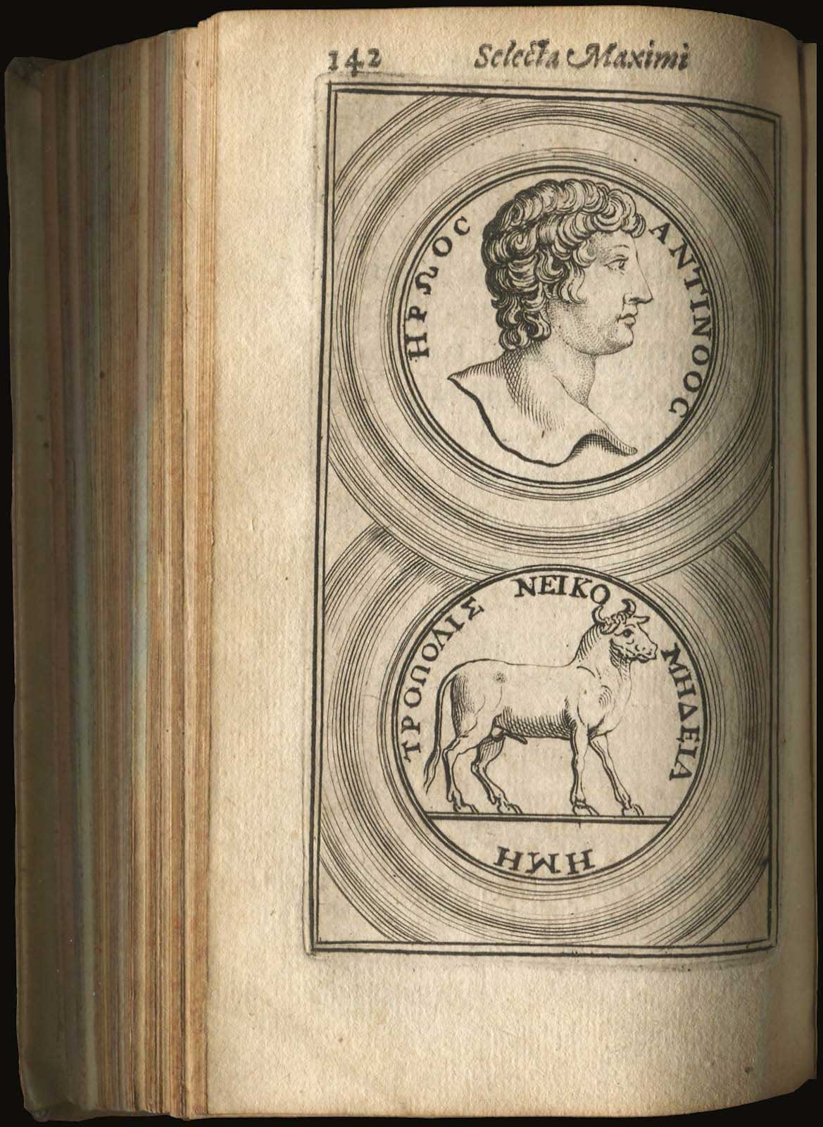 Lot 03096
