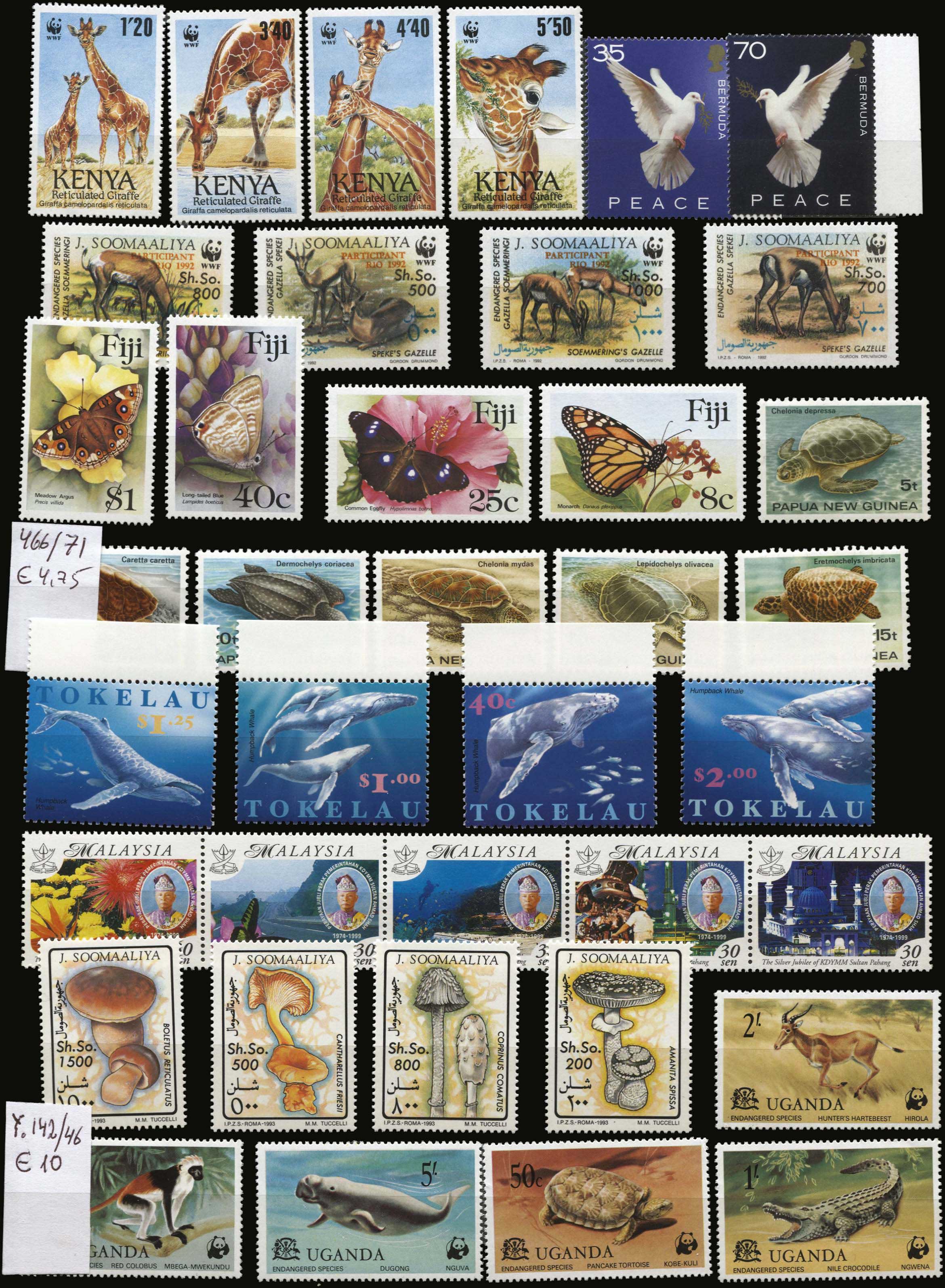 Lot 01894