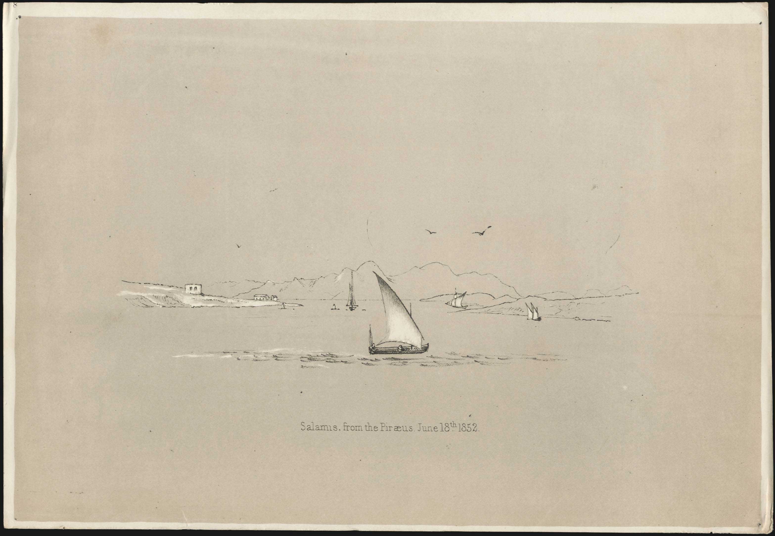 Lot 08007