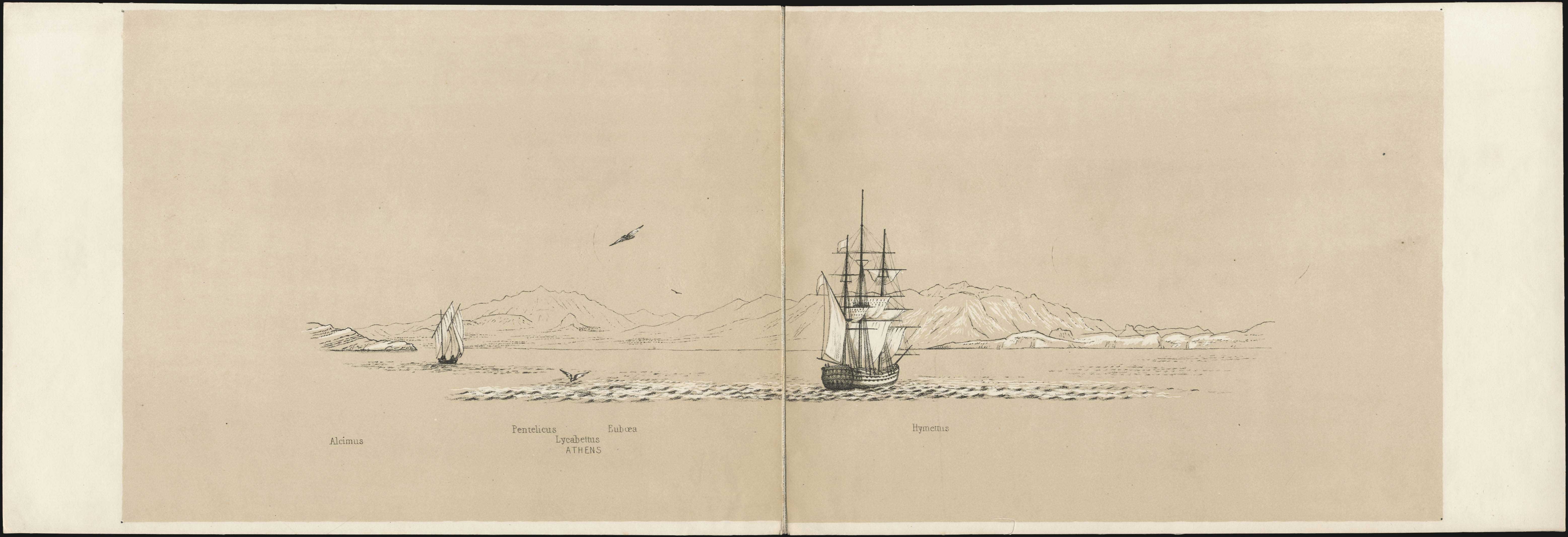 Lot 08007