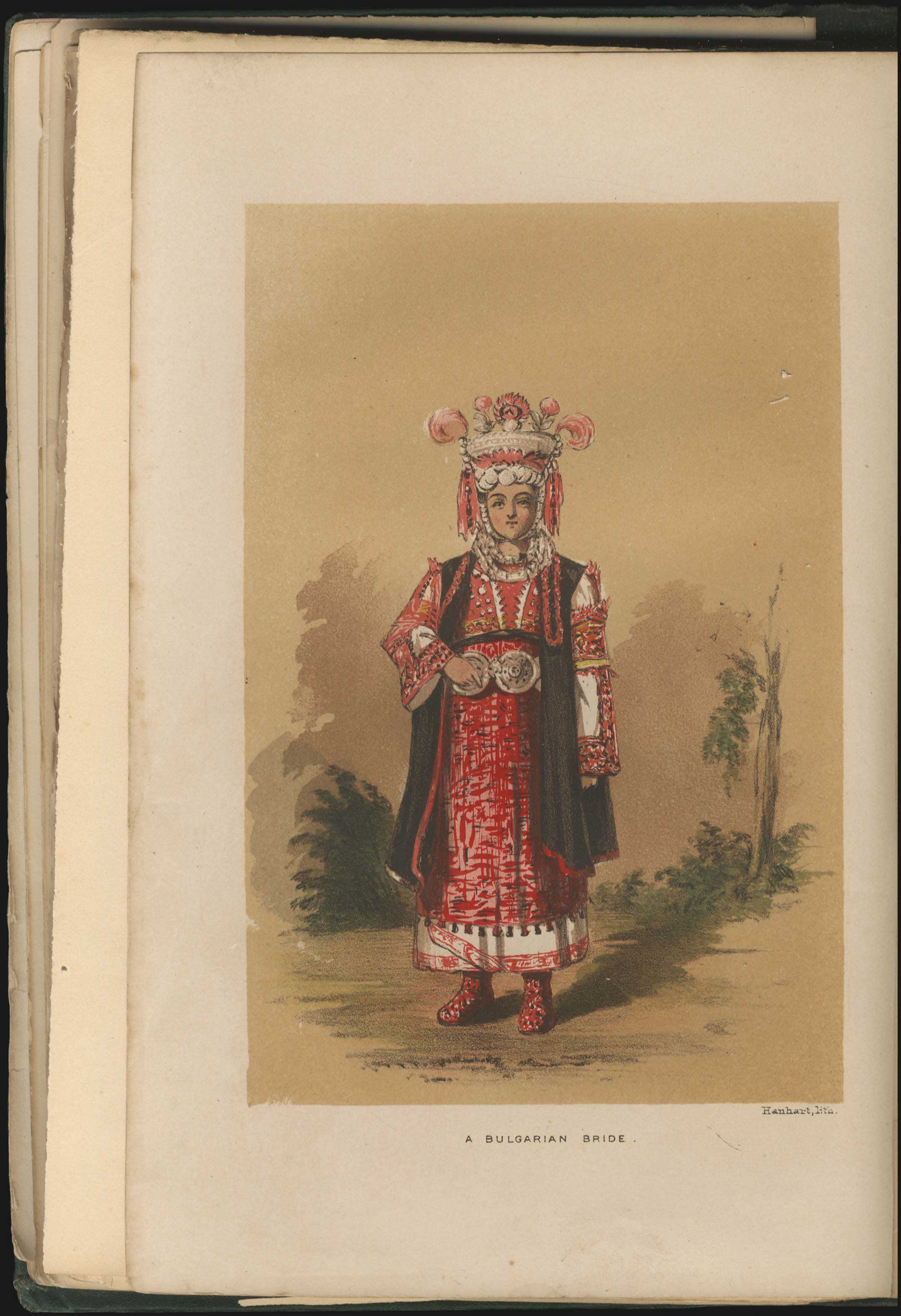 Lot 06077