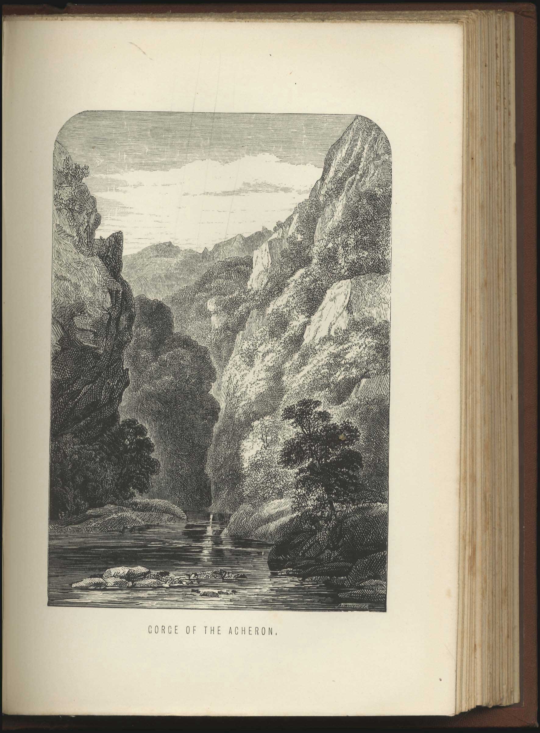 Lot 08015