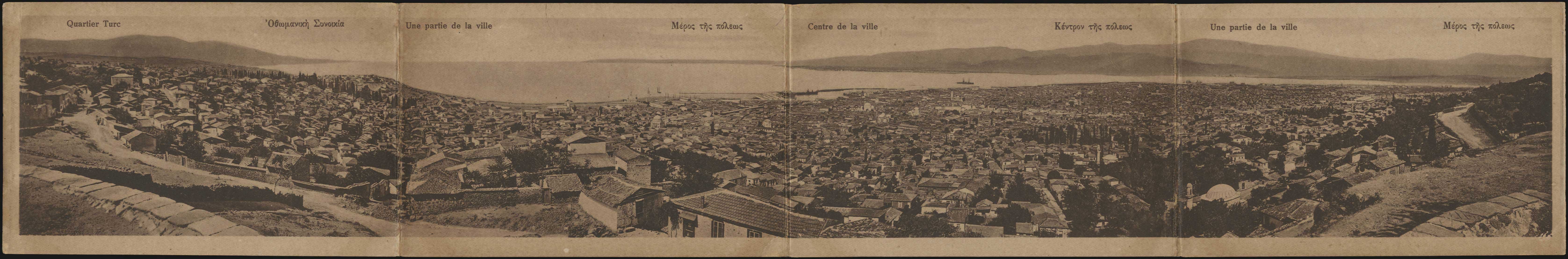 Lot 08449