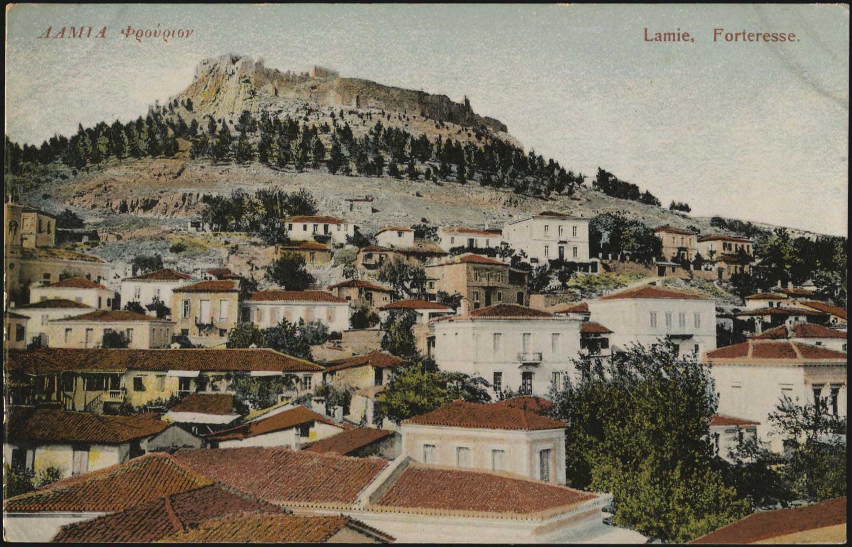 Lot 04116
