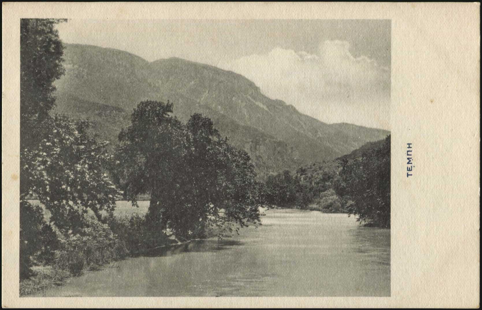 Lot 04008