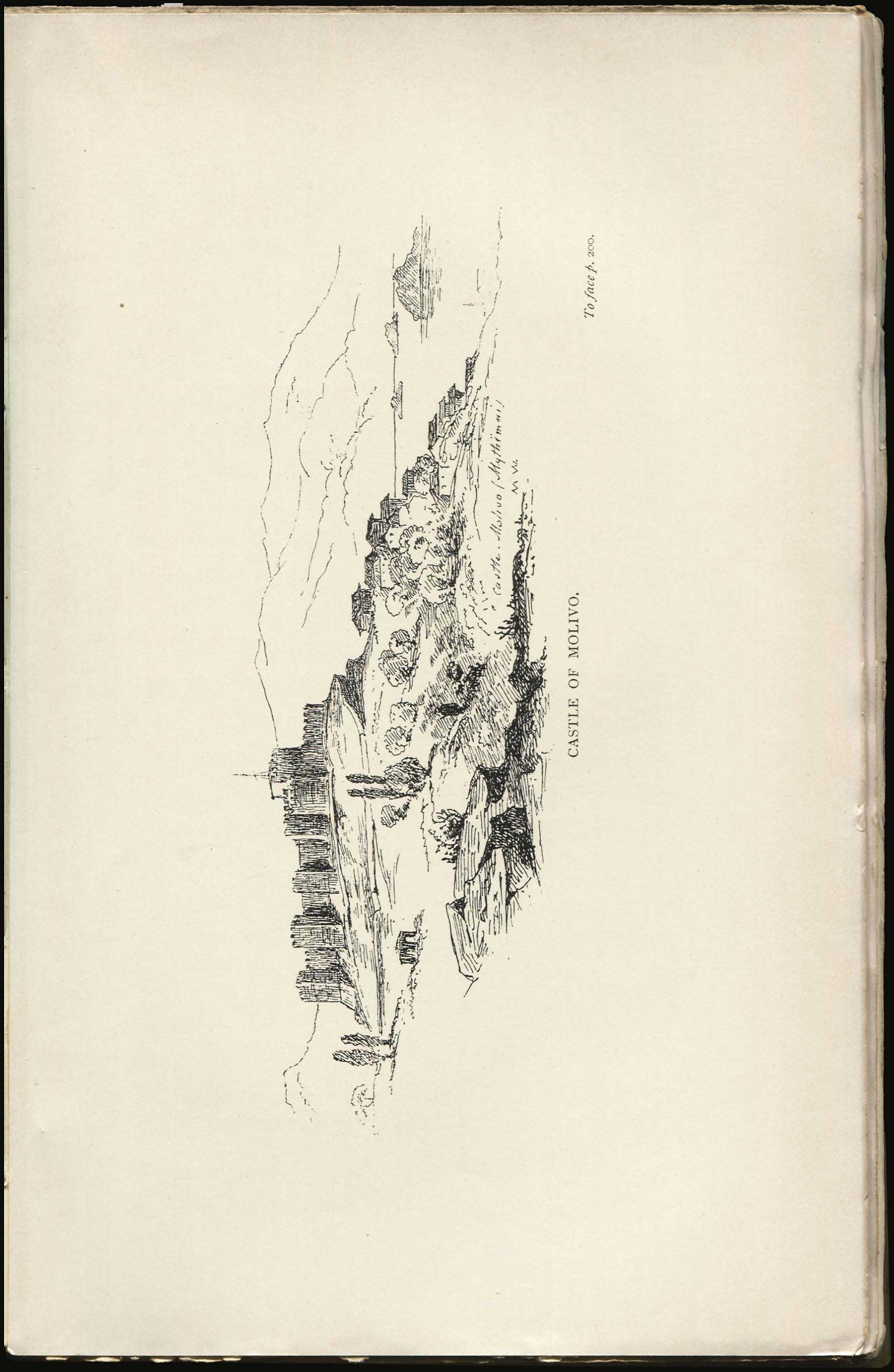 Lot 08021
