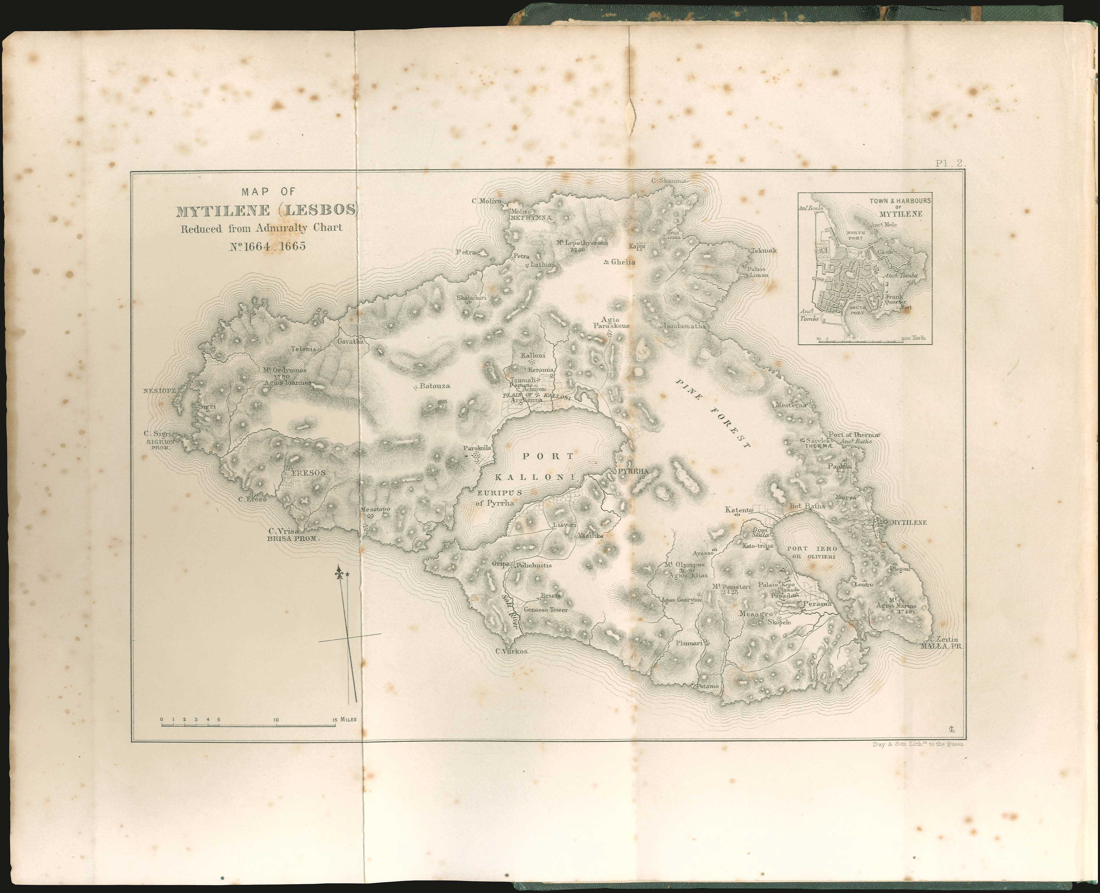 Lot 05038
