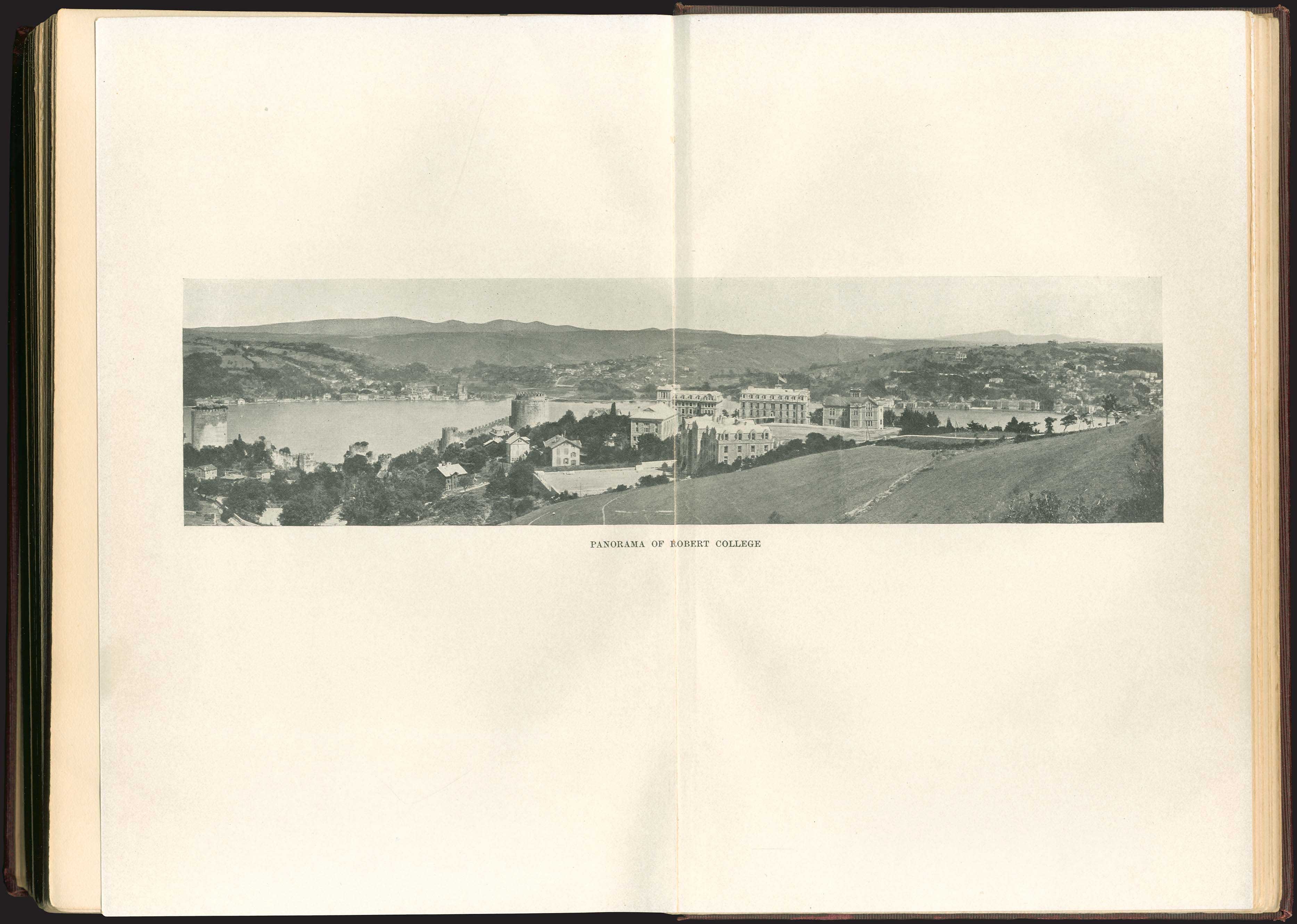 Lot 06199