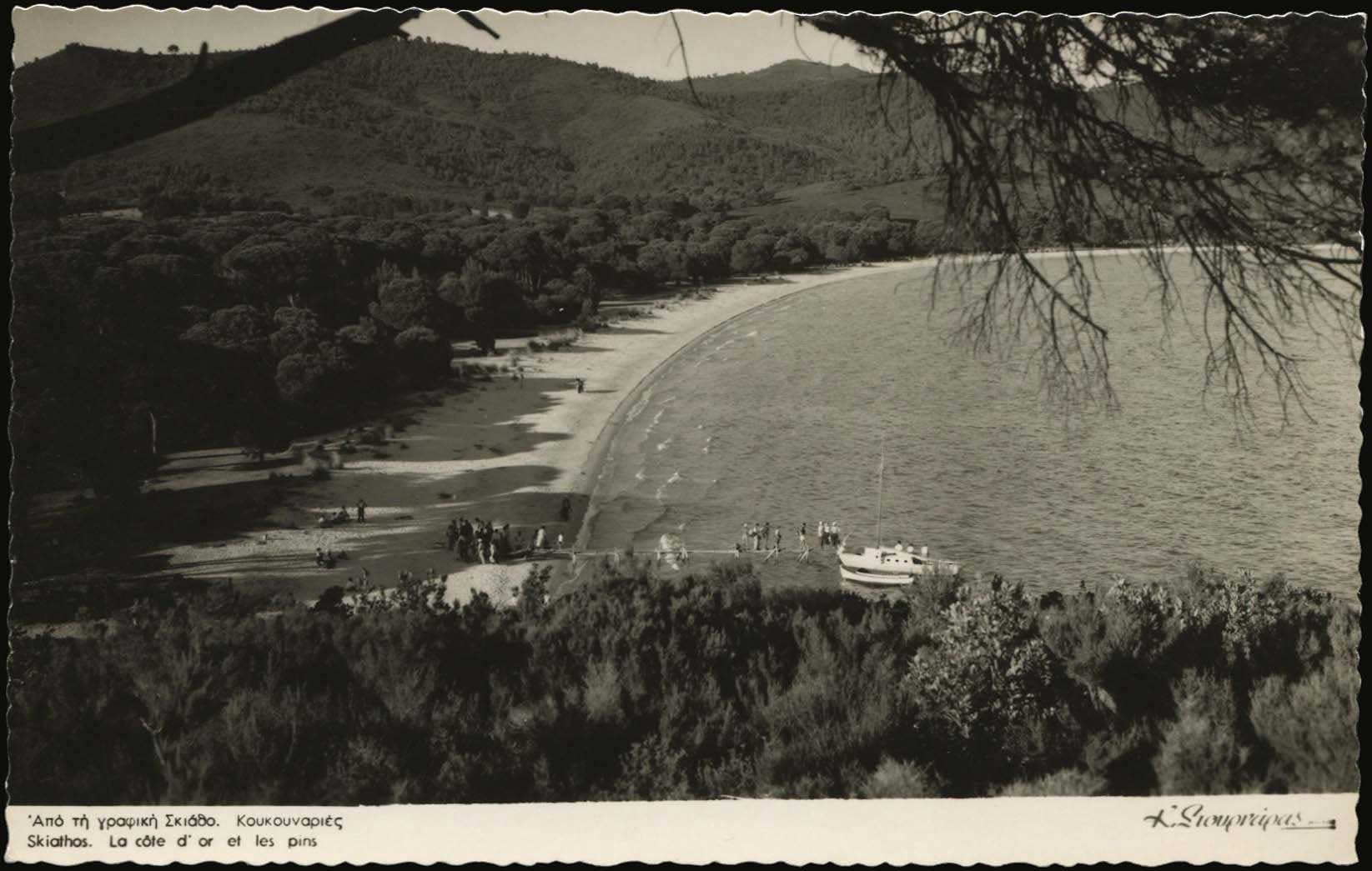 Lot 03662