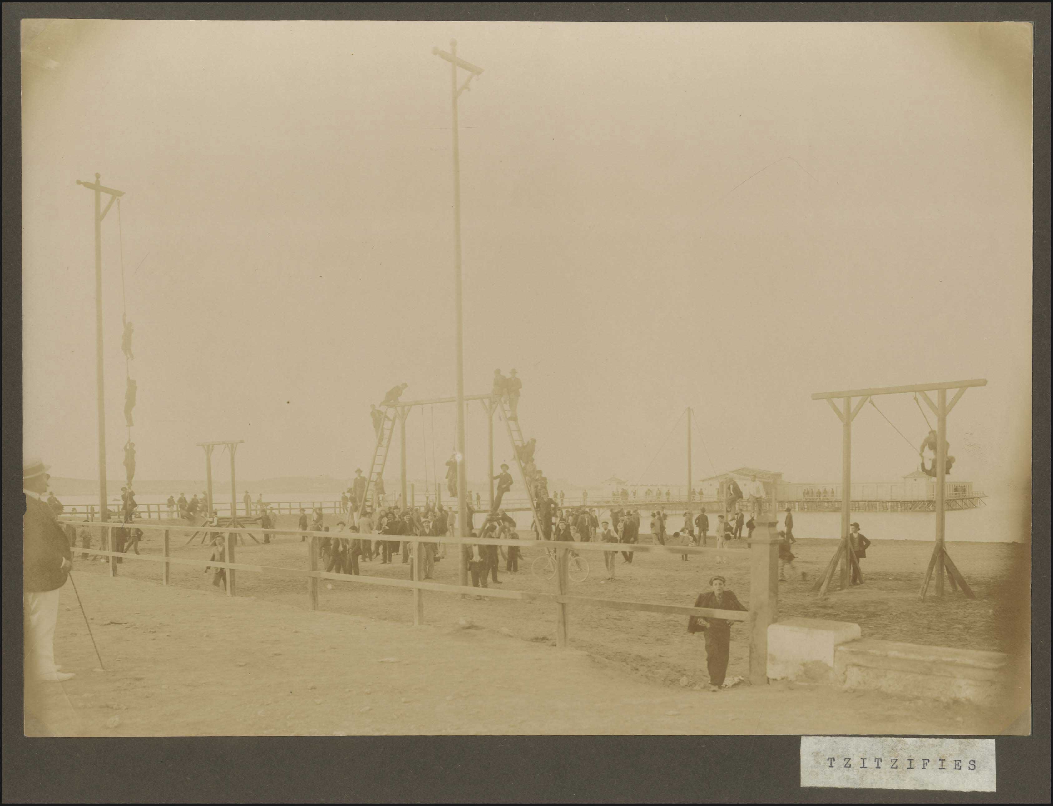 Lot 08069