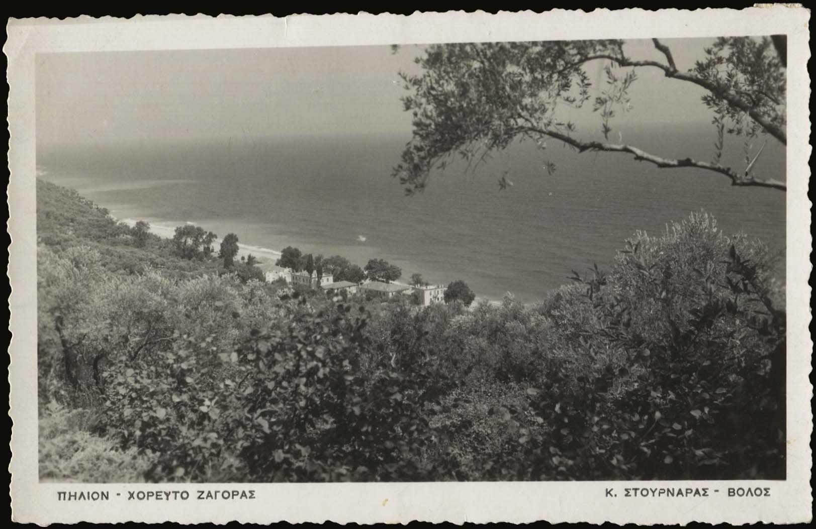 Lot 03655