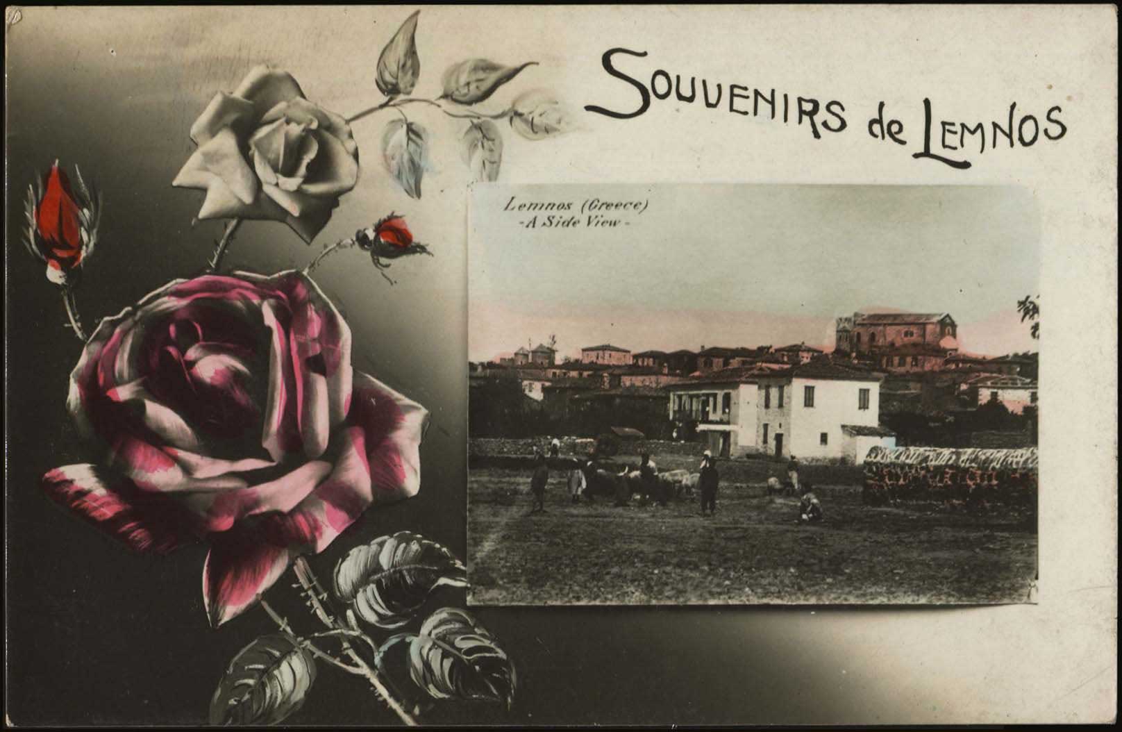 Lot 01837