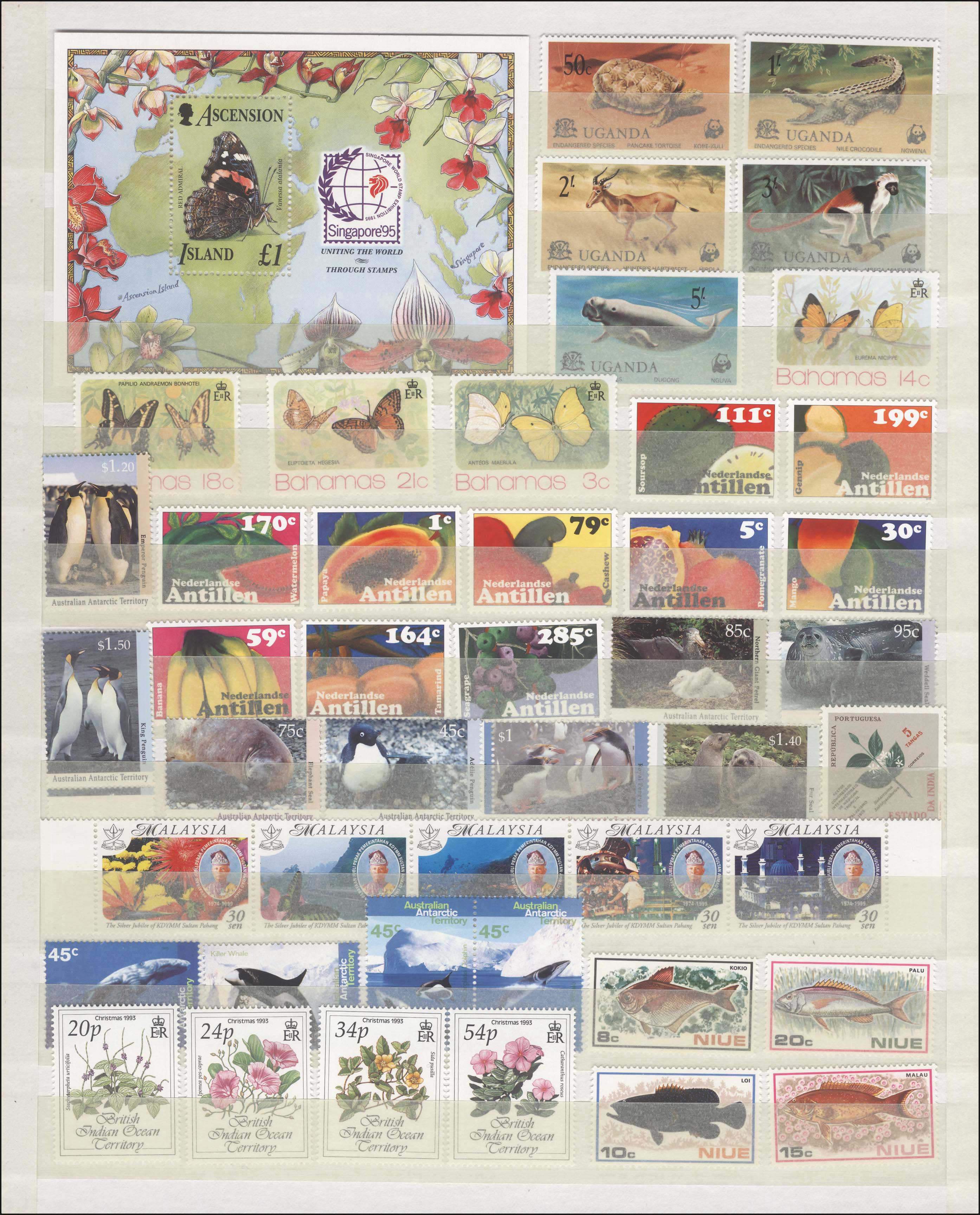 Lot 01842
