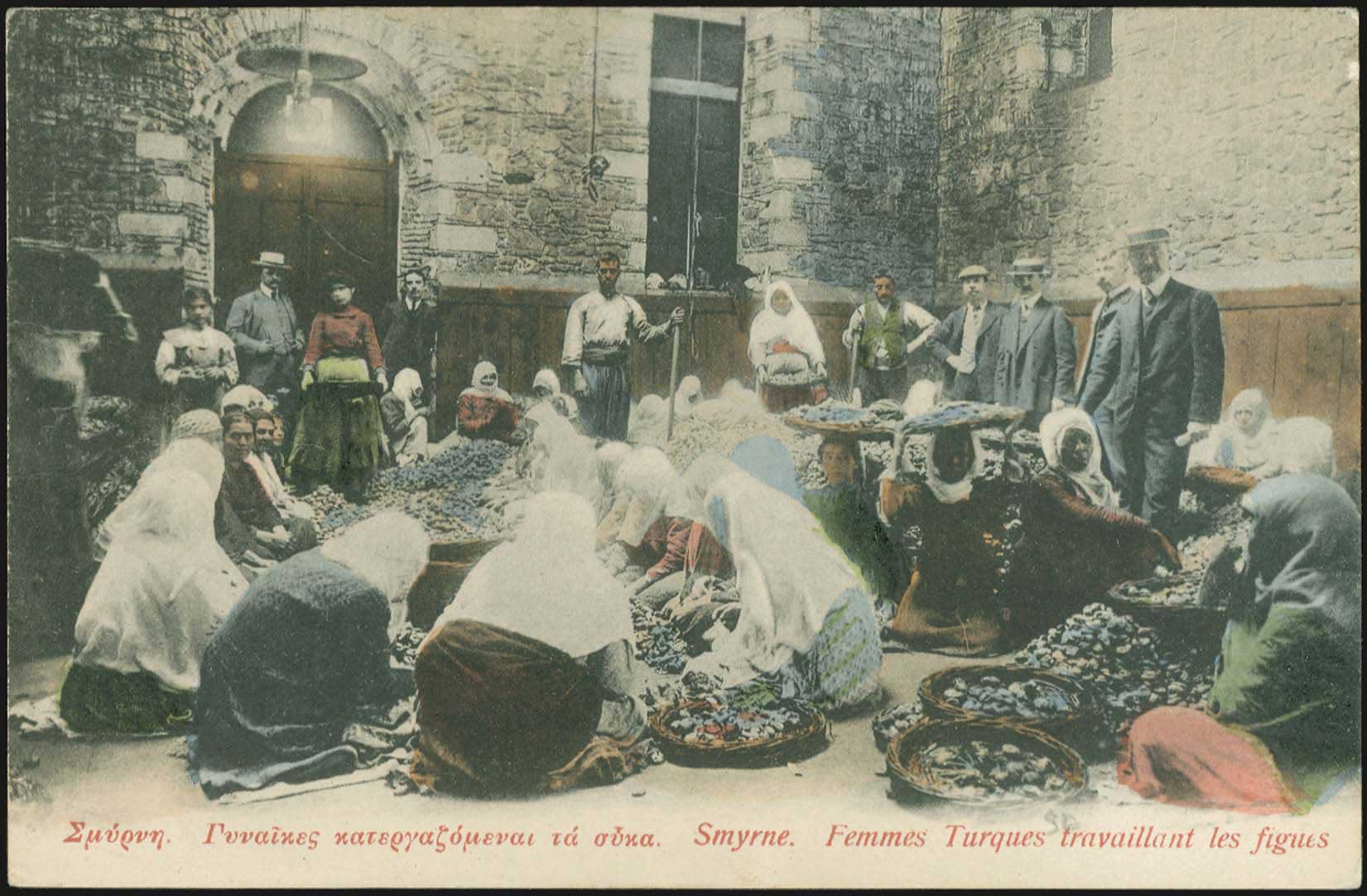 Lot 01922