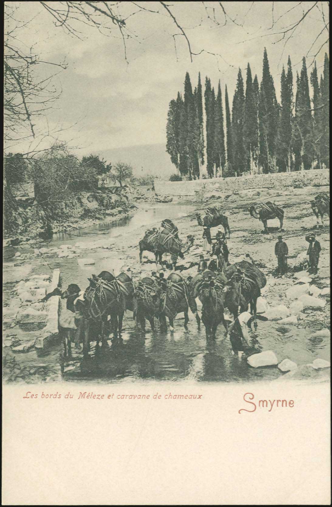 Lot 01919