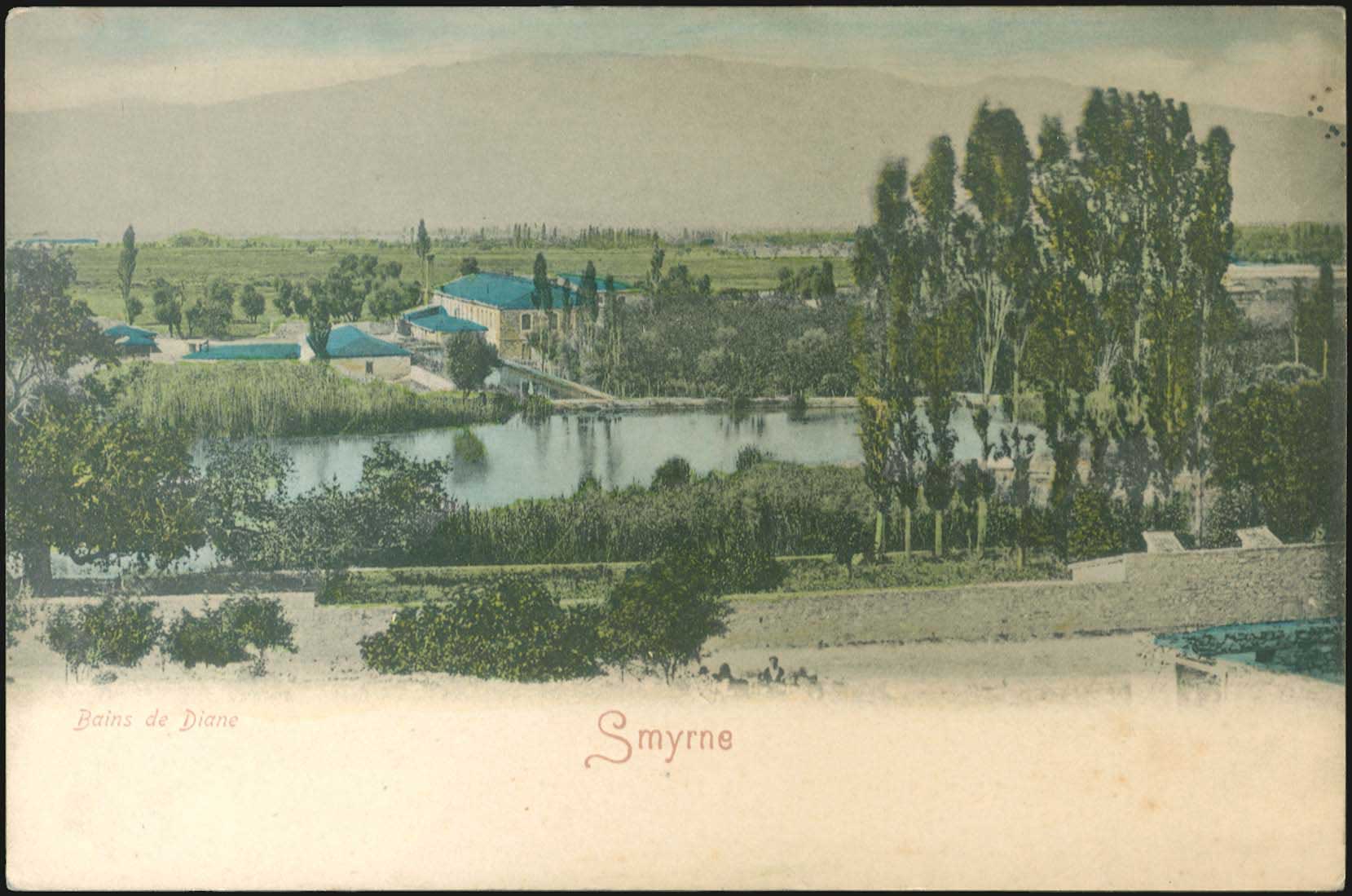 Lot 01905