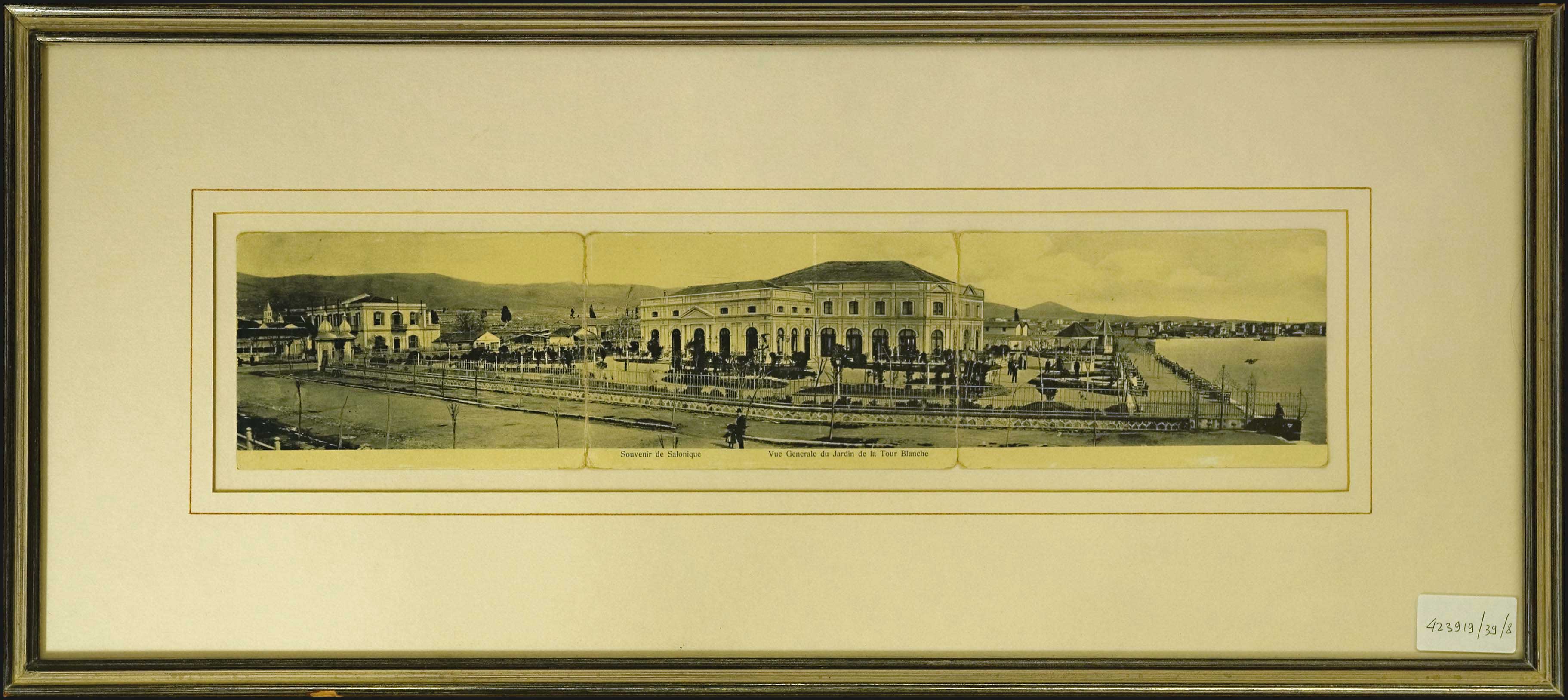 Lot 08443