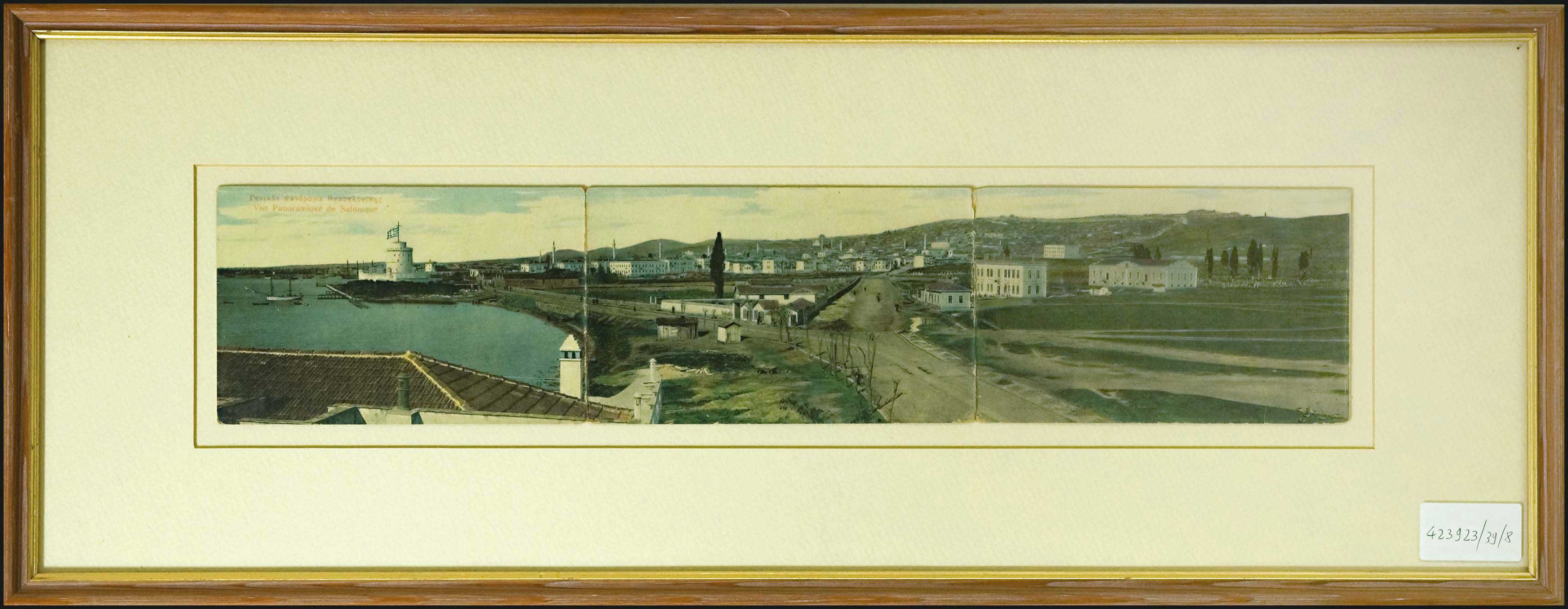 Lot 08446