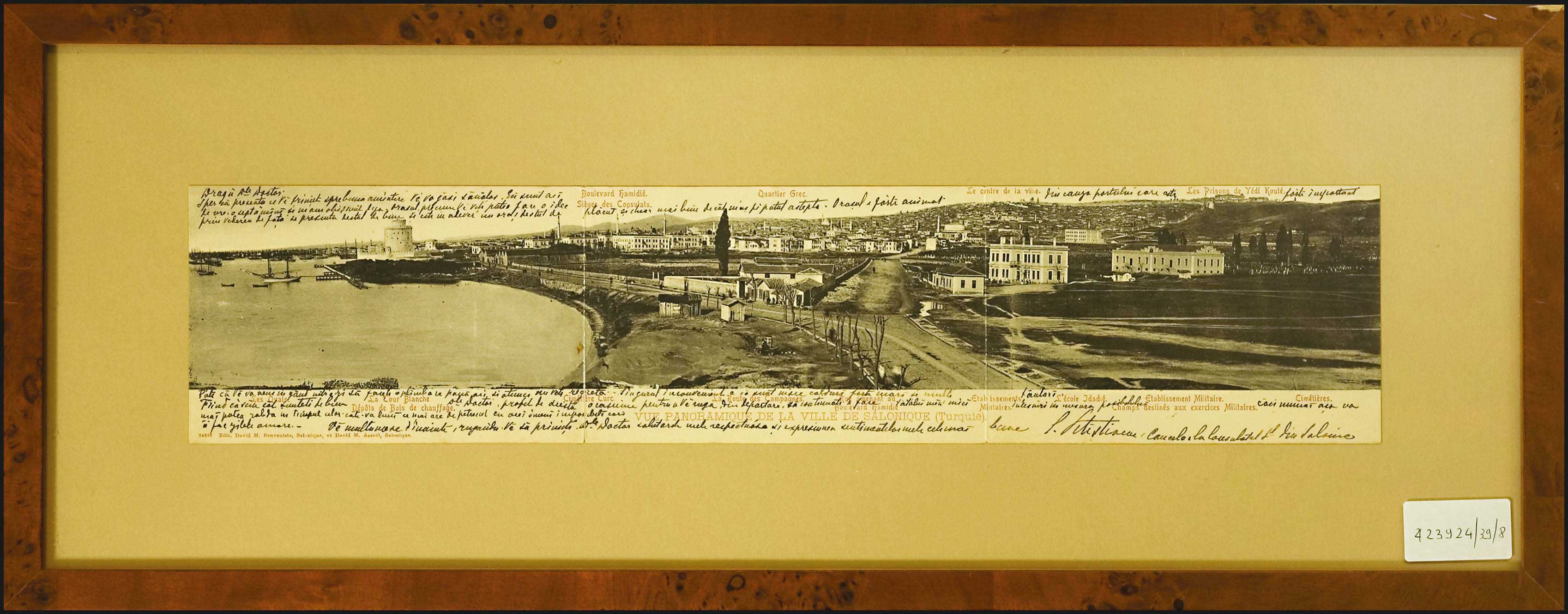 Lot 08445